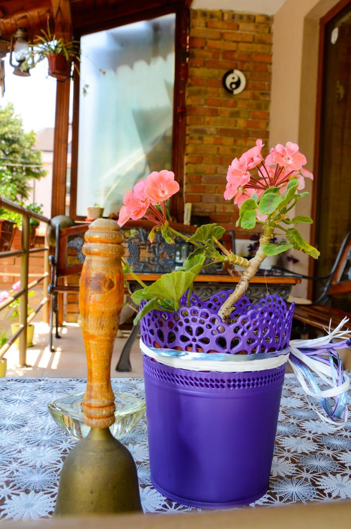 Nirvana Guest House