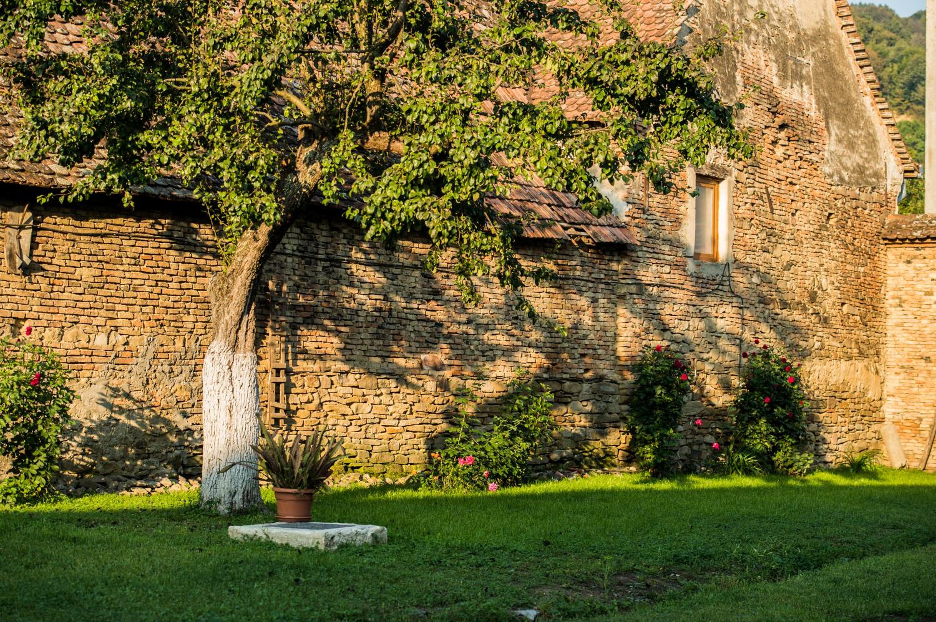 Cloasterf Haus