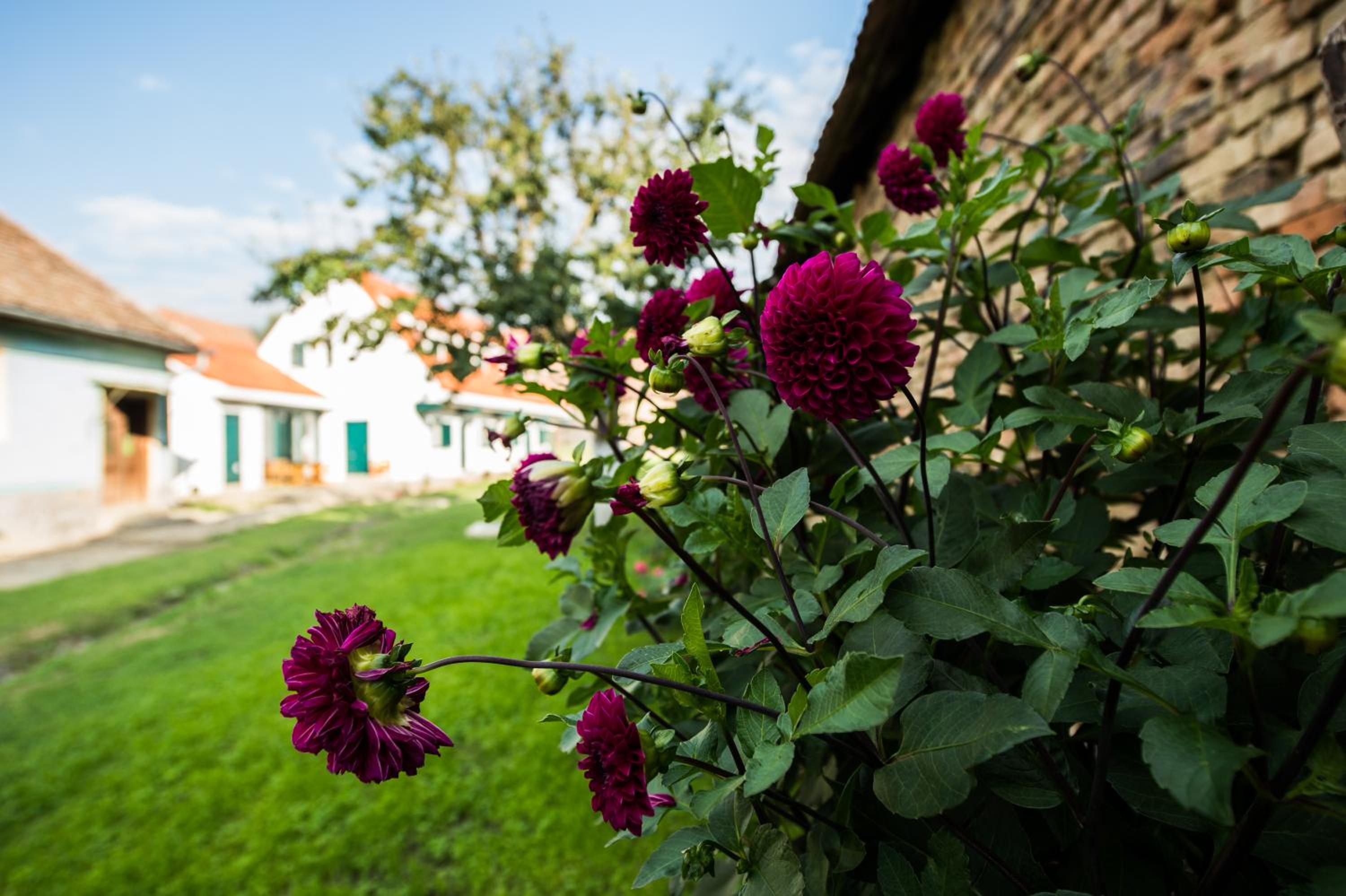 Cloasterf Haus