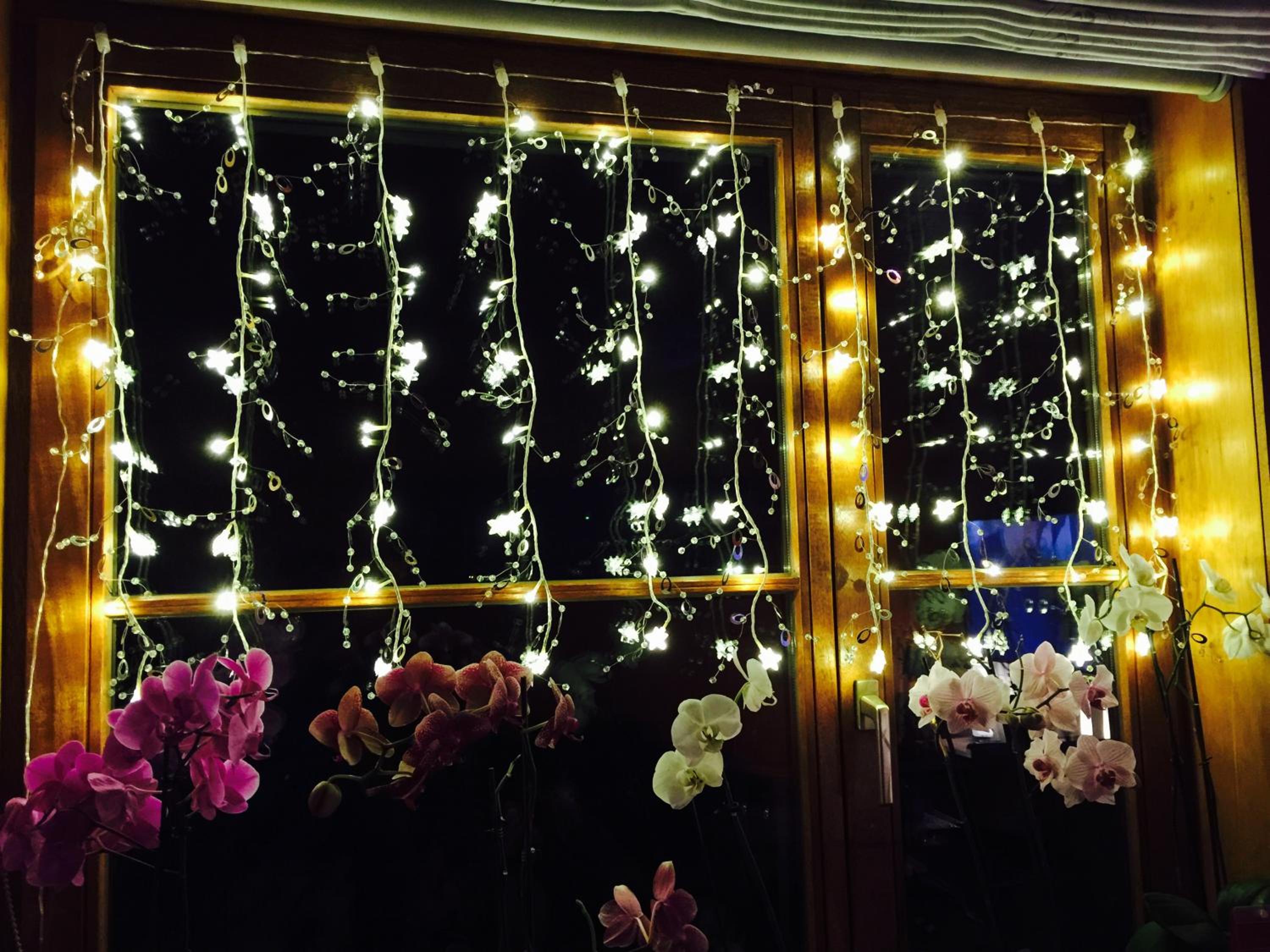 B&B Kookhai