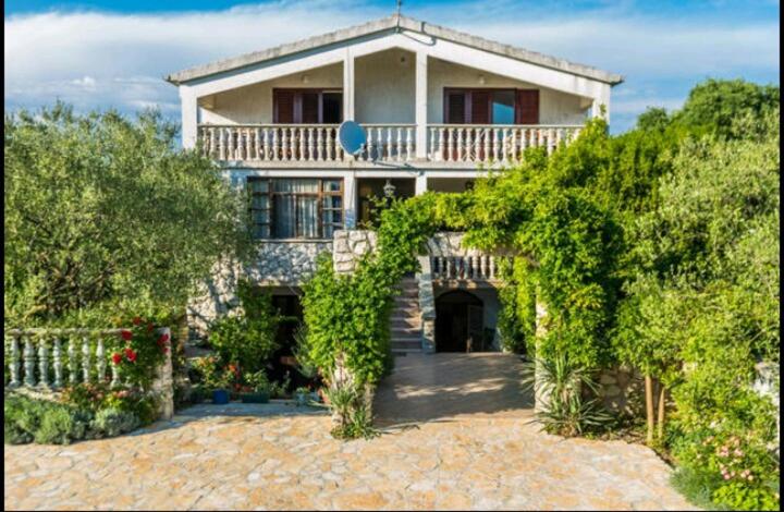 Apartments Marinka