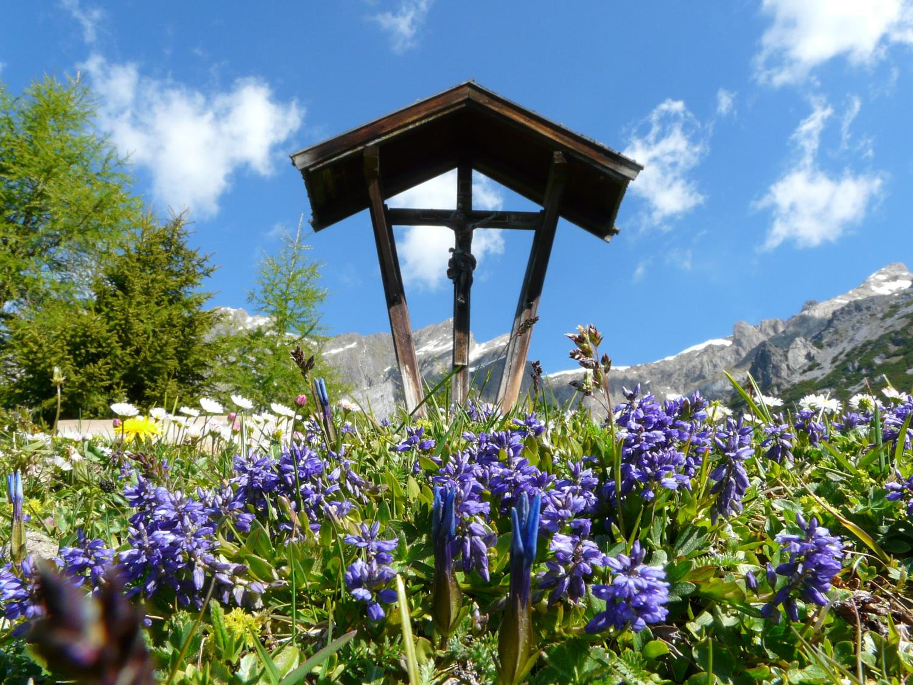 Spisshof