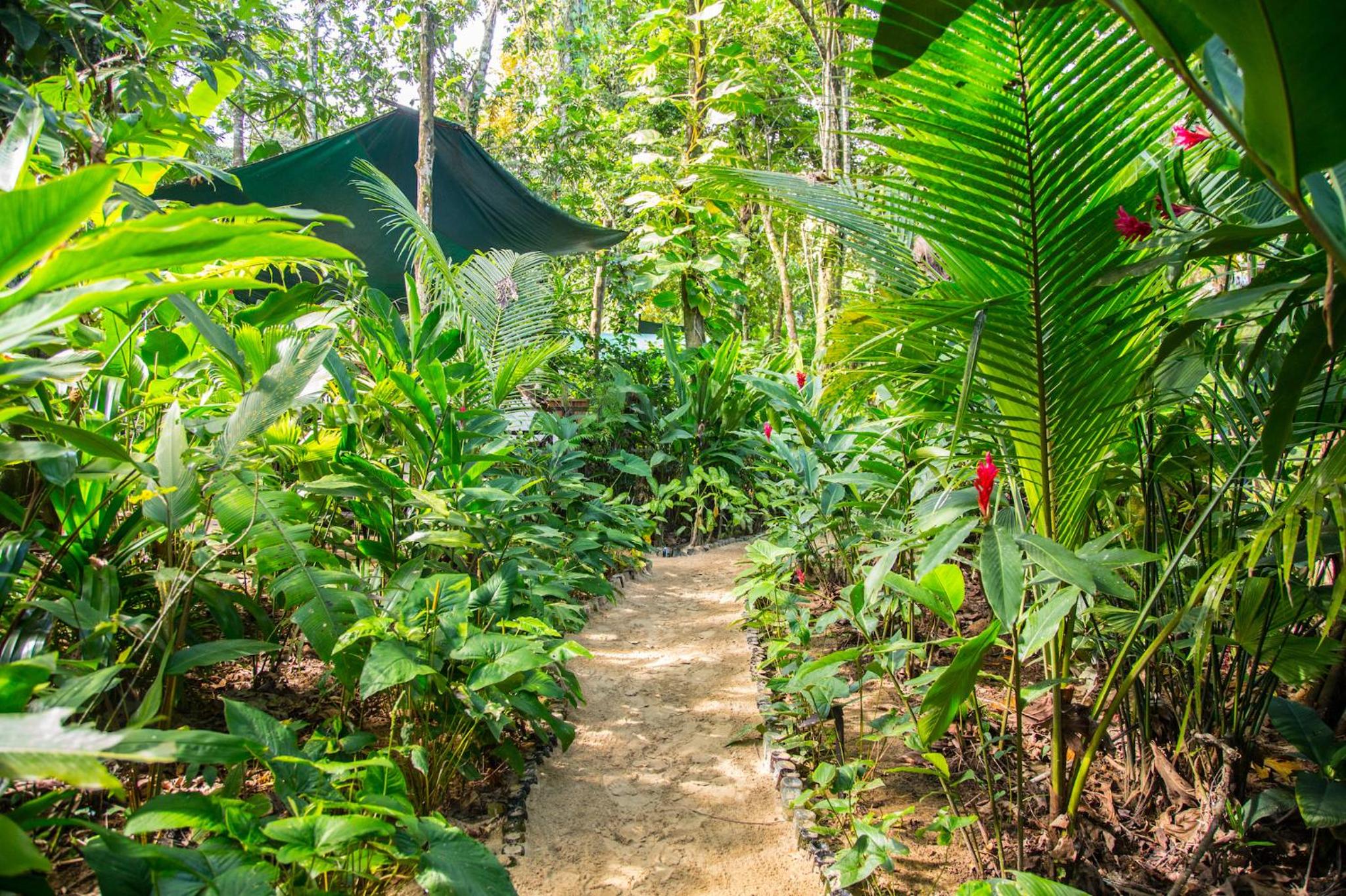 Palmar Beach Lodge