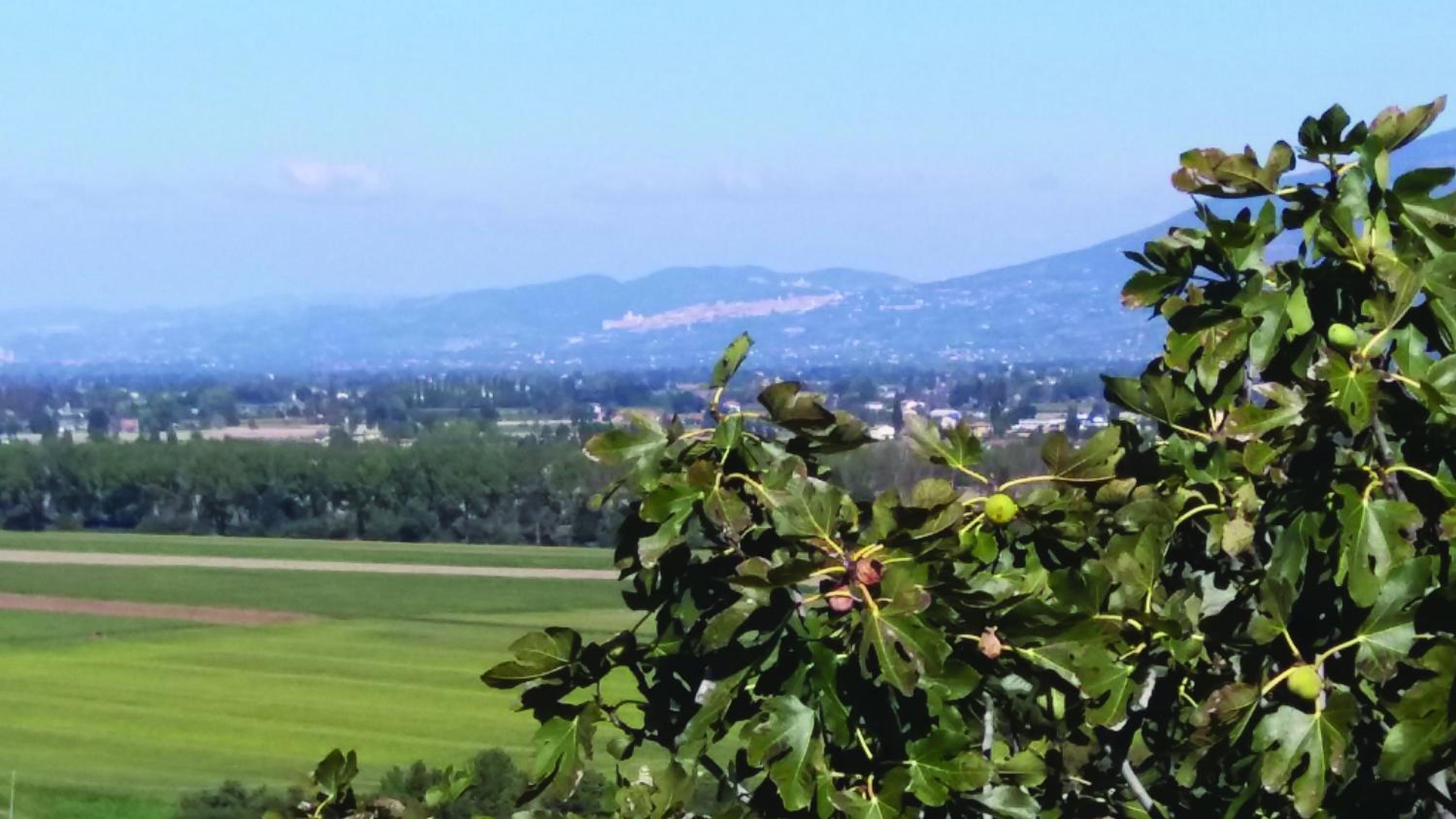 Tenuta Colverano