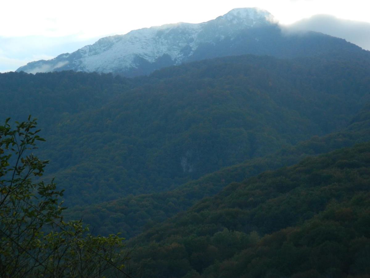 Apartman Sutjeska