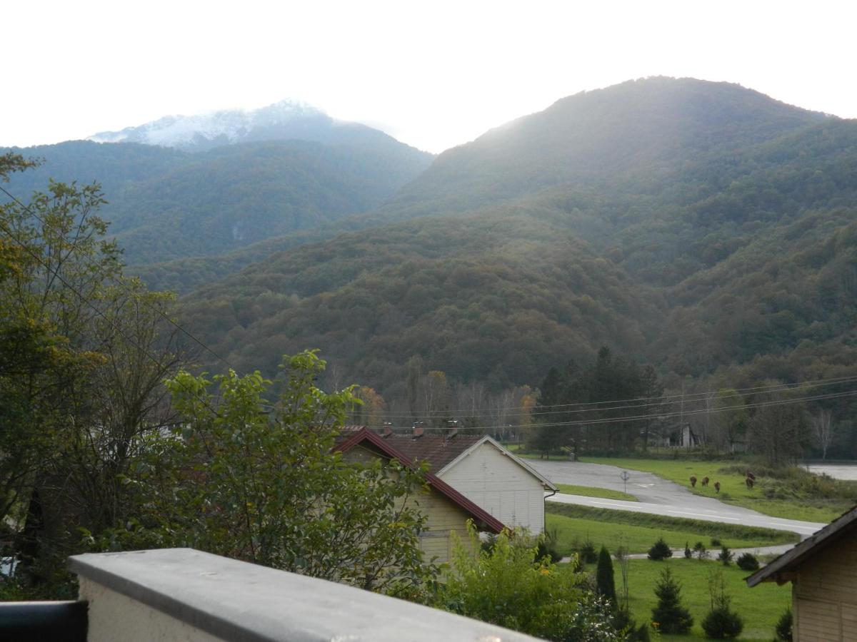 Apartman Sutjeska