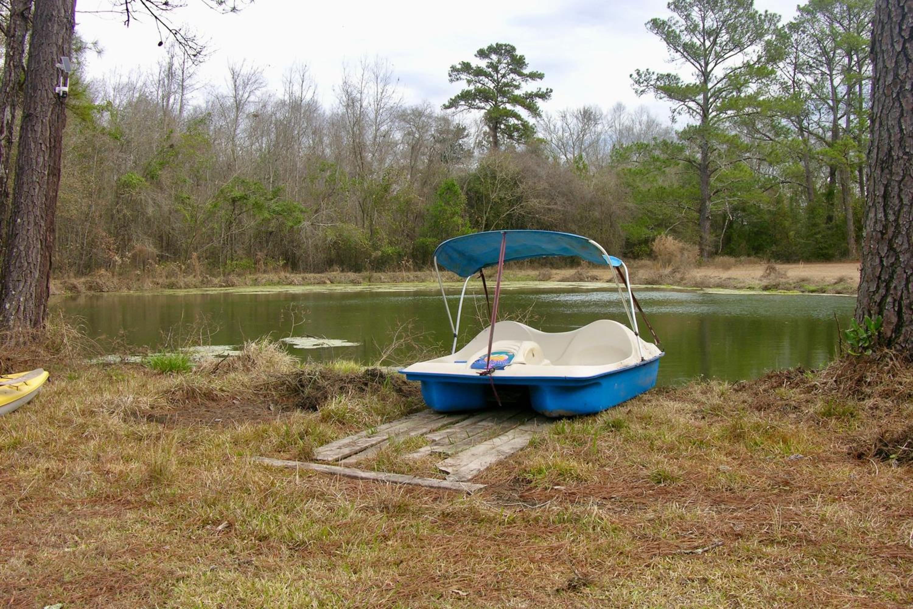 Stocked Pond Country Retreat in Oglethorpe!