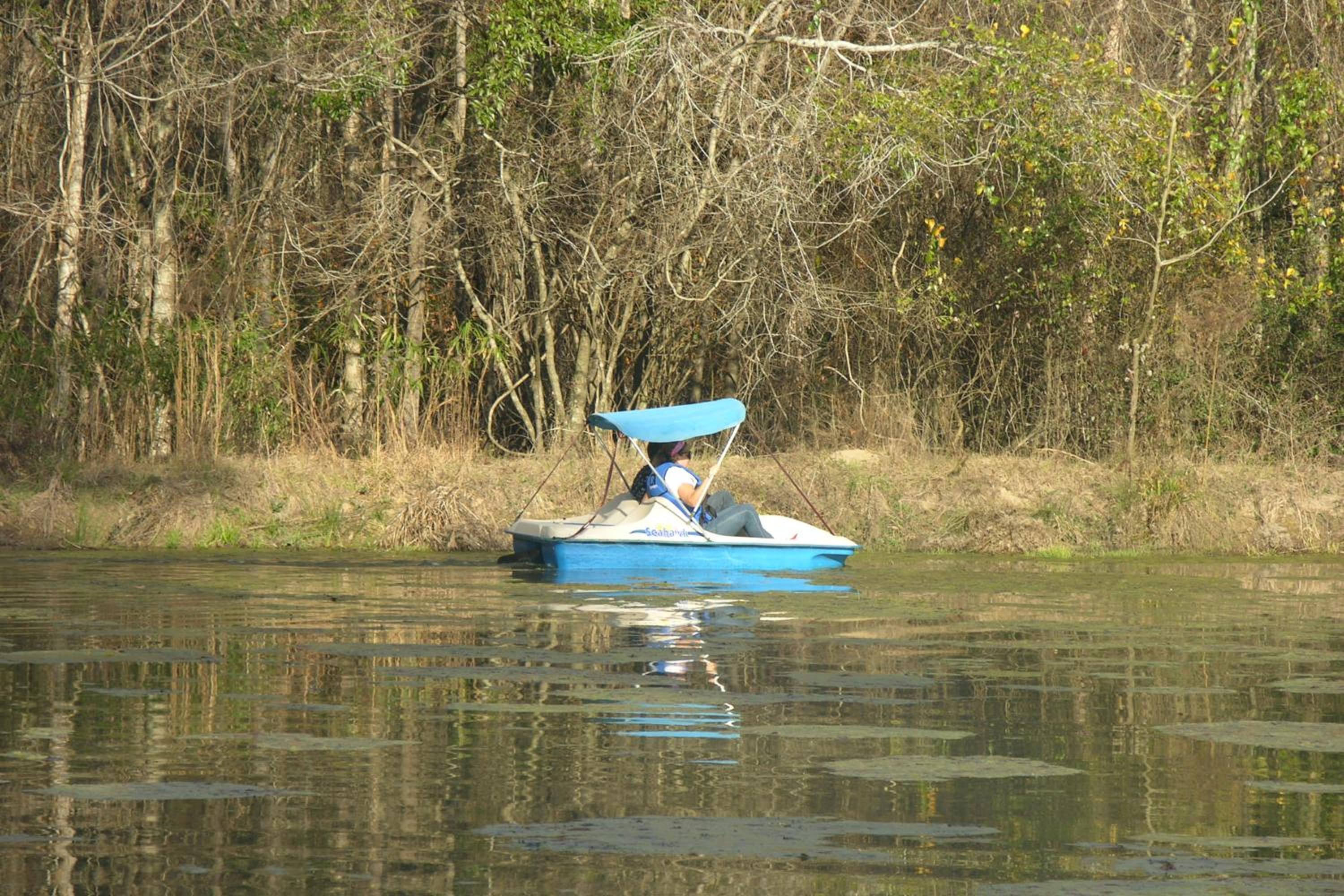 Stocked Pond Country Retreat in Oglethorpe!