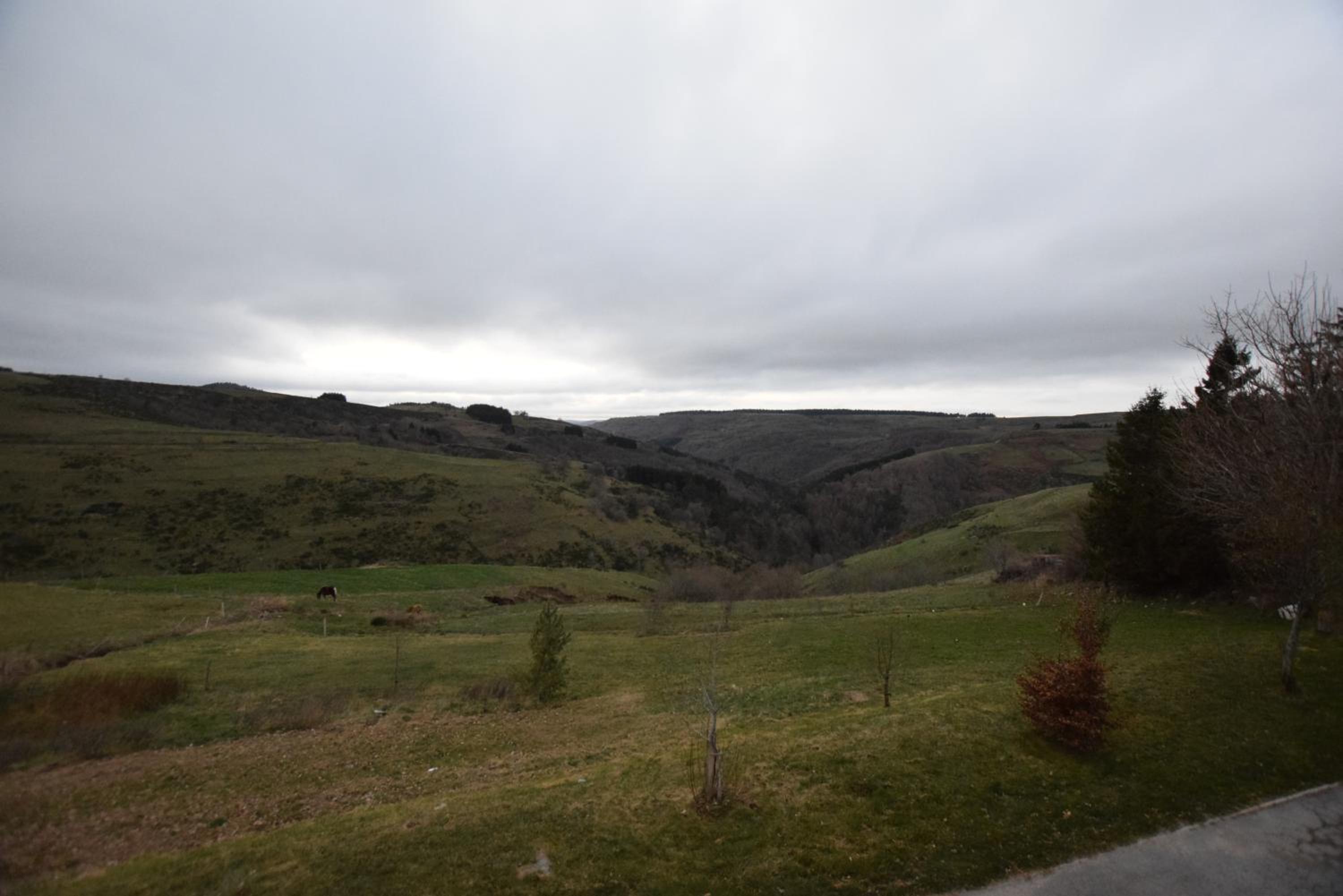 Photo 46