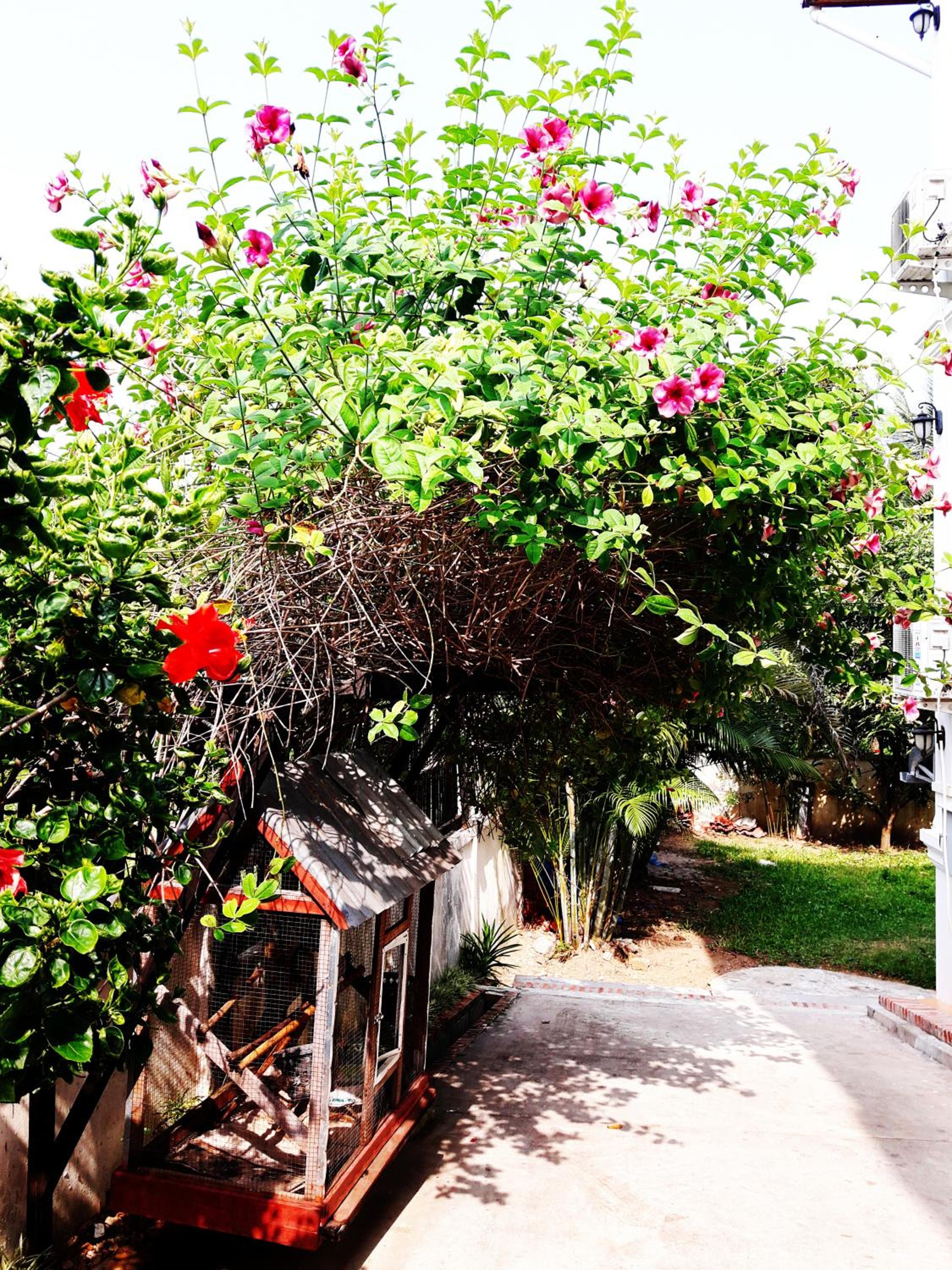 Phonepraseuth Guesthouse