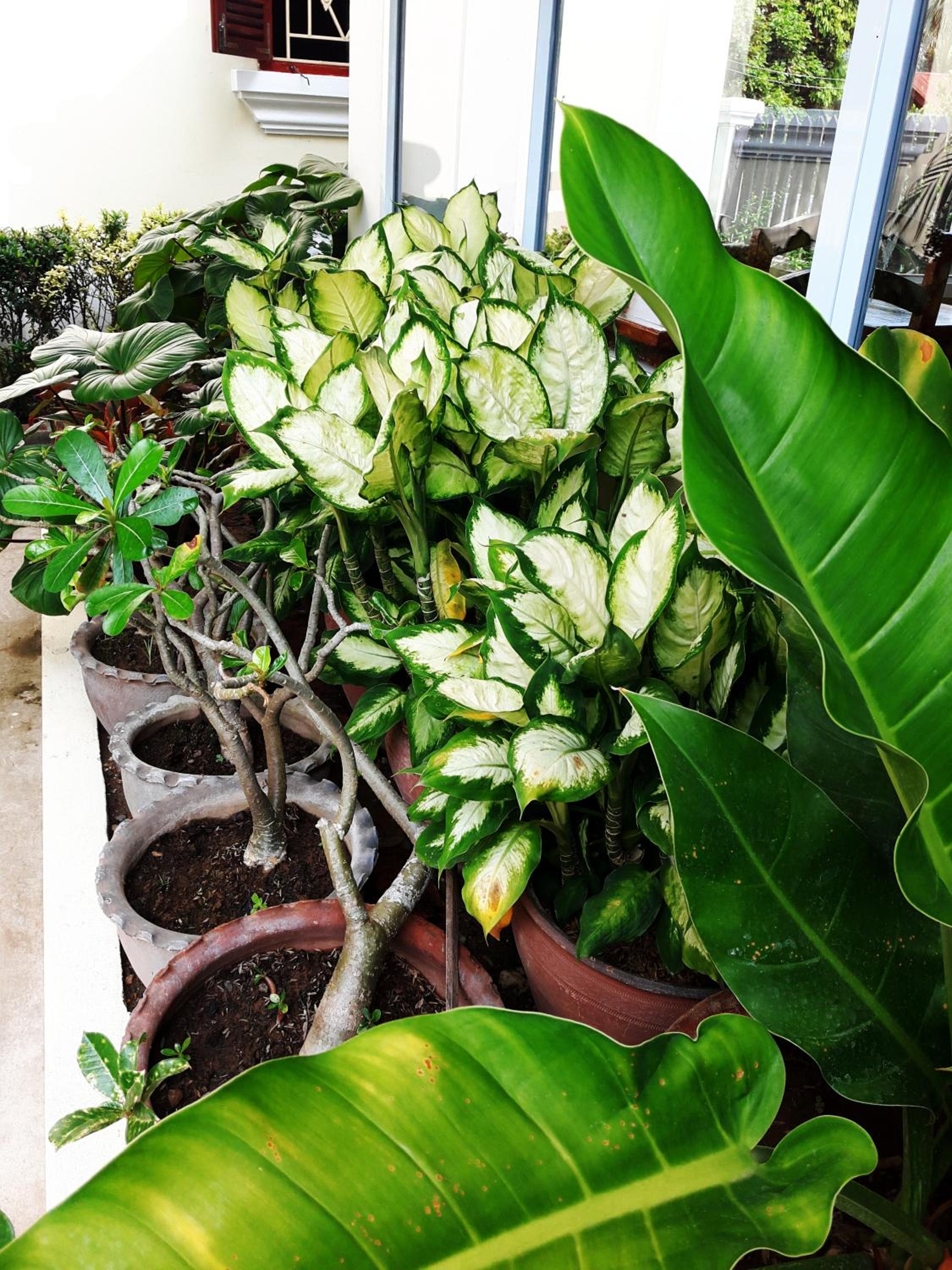 Phonepraseuth Guesthouse