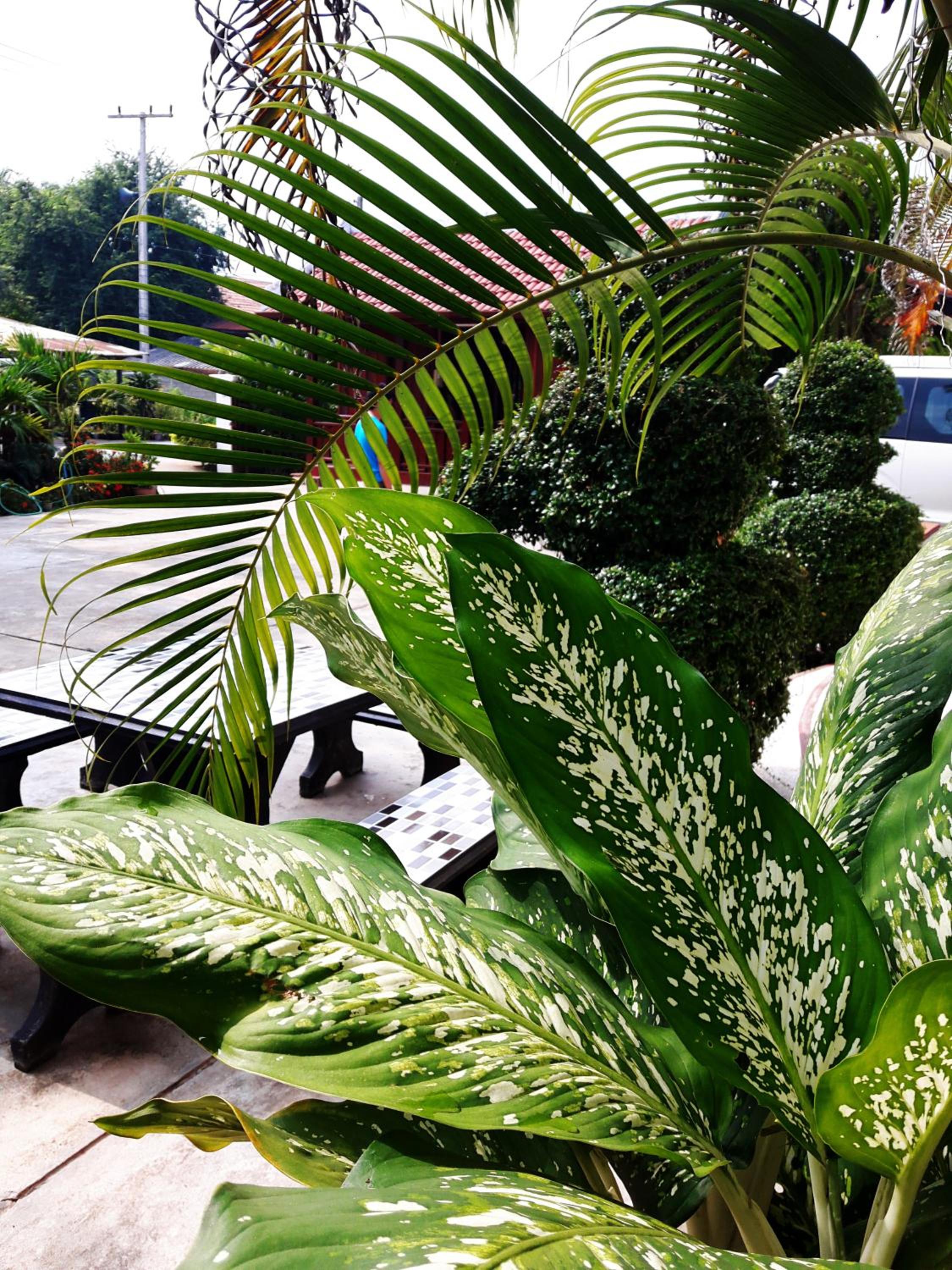 Phonepraseuth Guesthouse