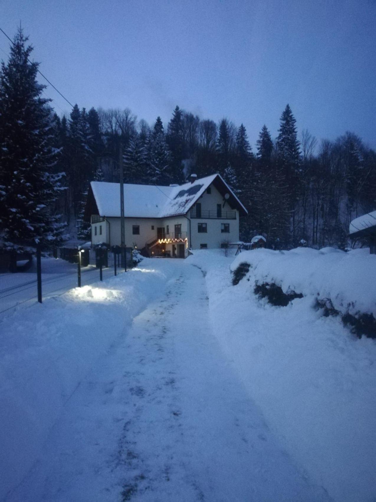 KAJA Zawoja