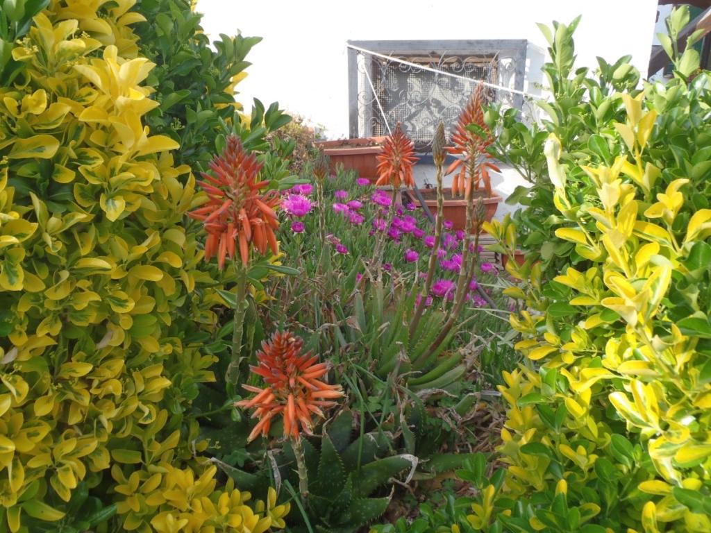 B&B Villa Sans Souci