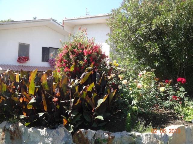 B&B Villa Sans Souci
