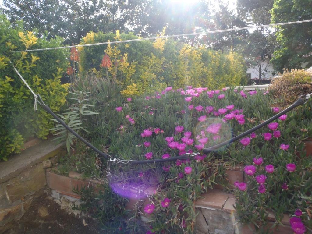 B&B Villa Sans Souci