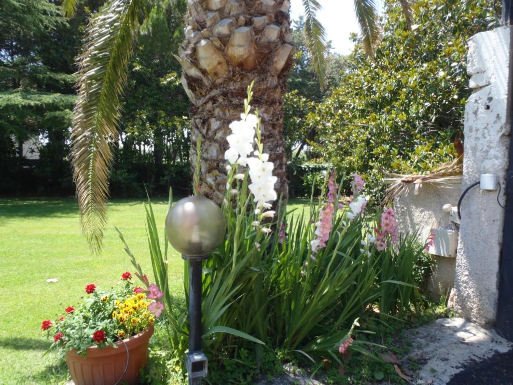 B&B Villa Sans Souci