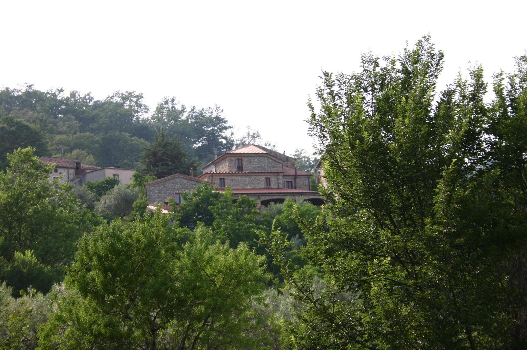 Photo 41