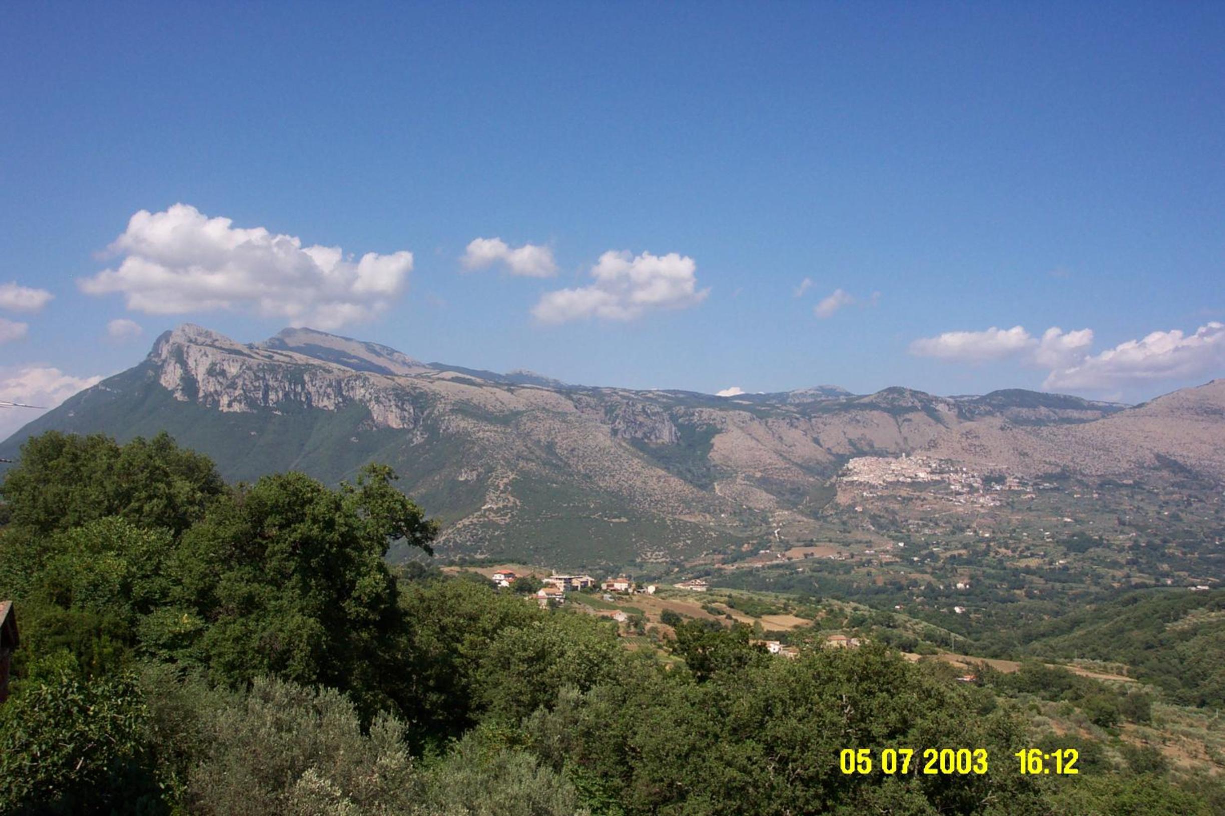 Photo 40