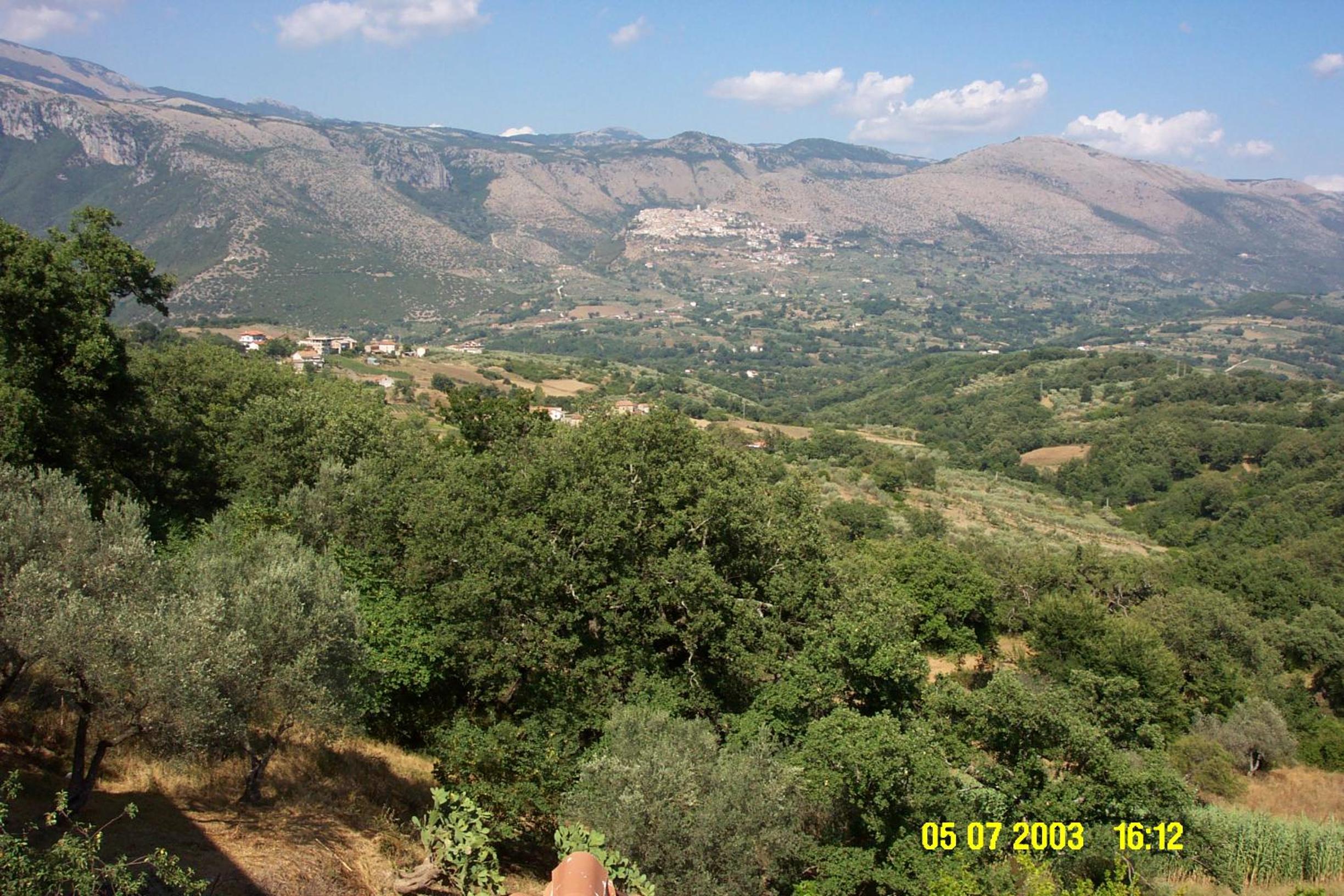 Photo 39