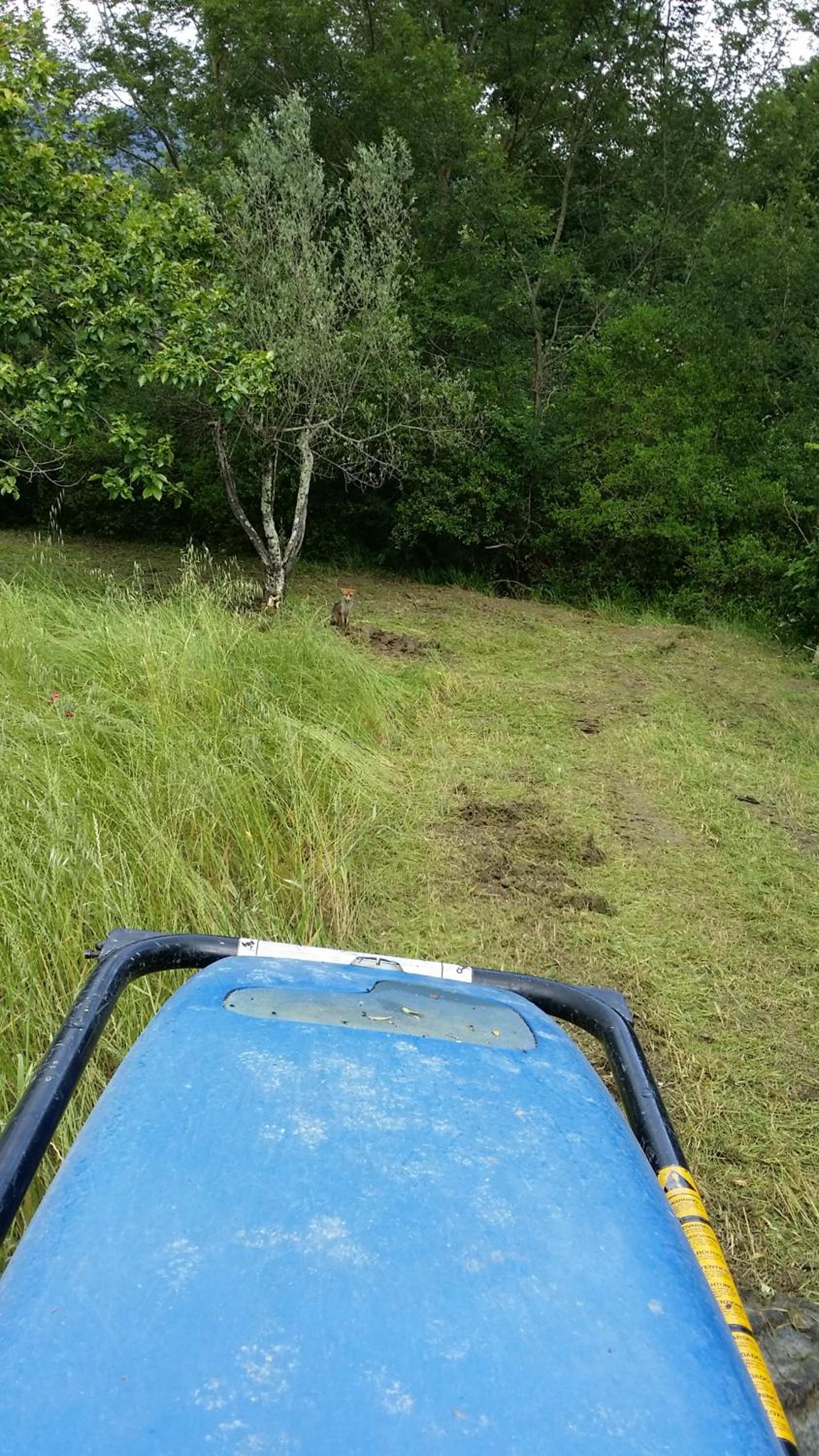 Photo 33