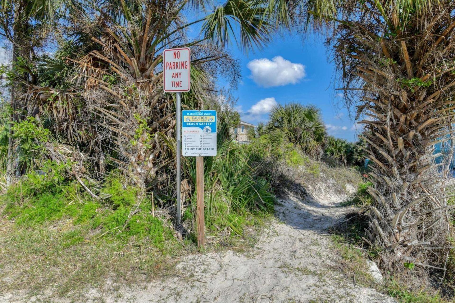 Turtles Nest