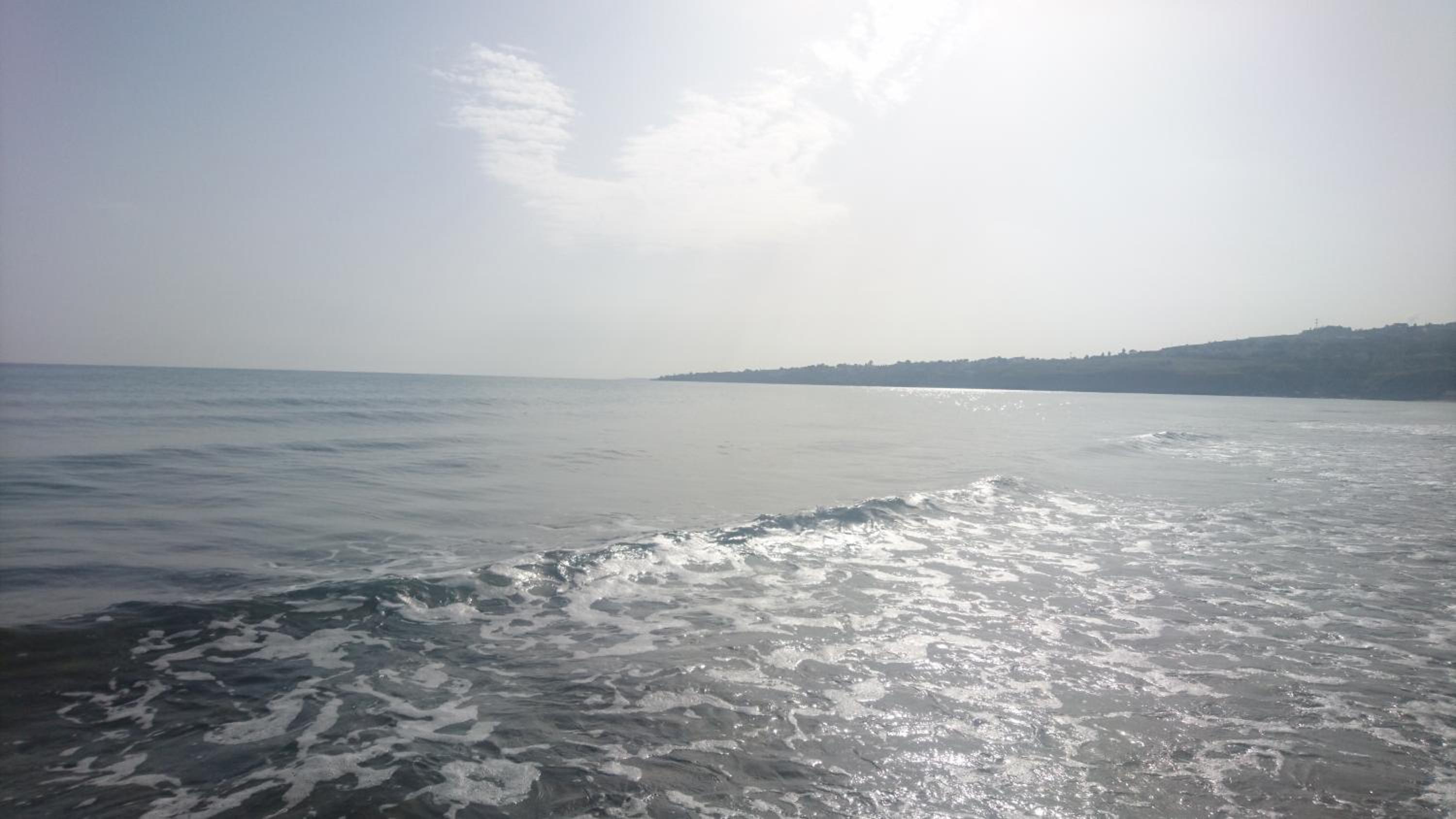 Photo 44