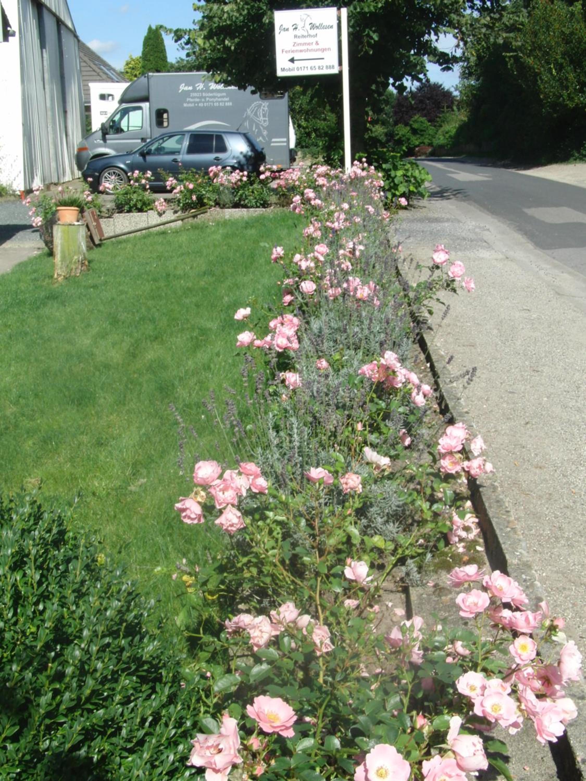 Photo 44