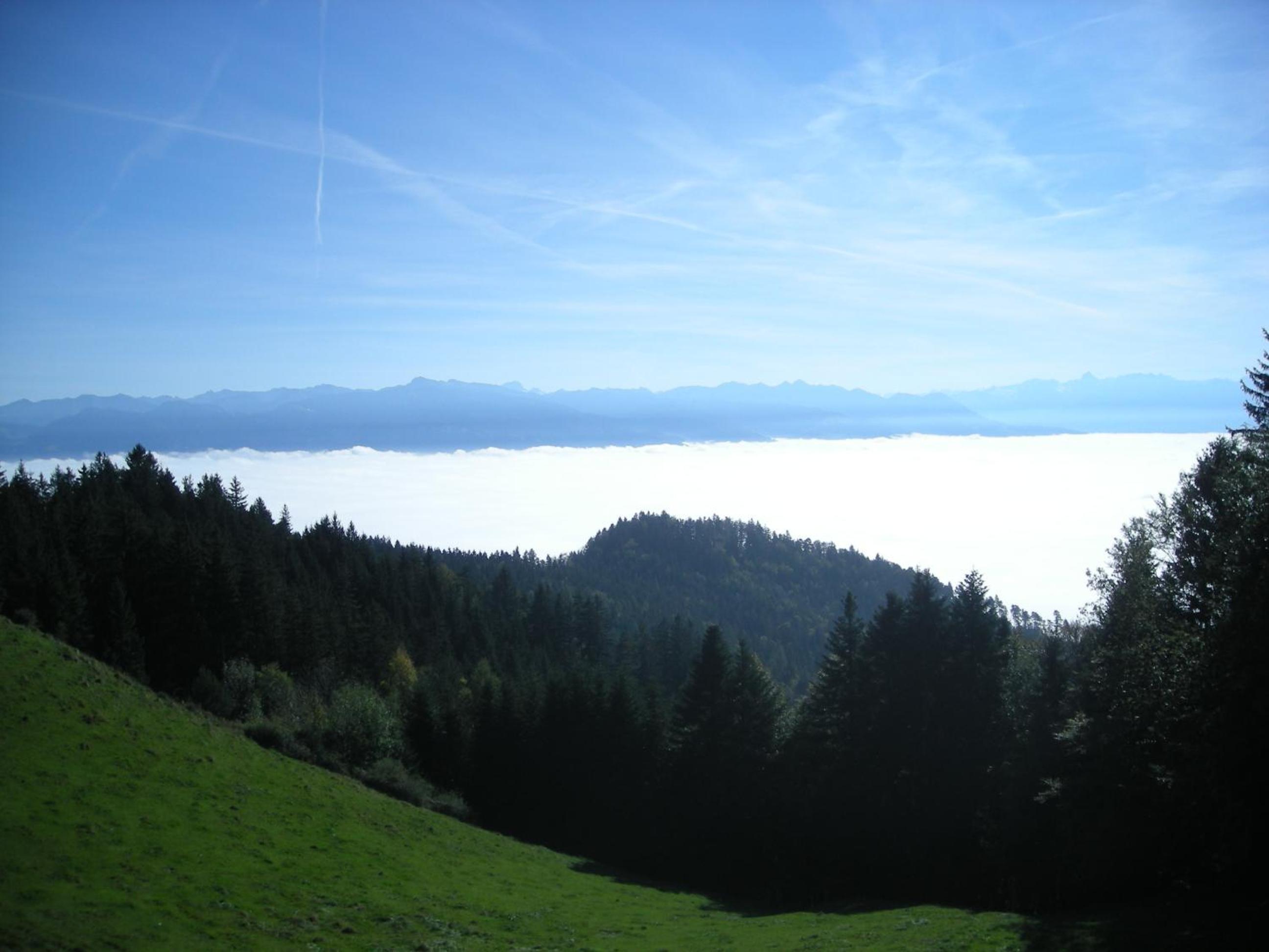 Bauernhaus Hinterbühle, photo 43