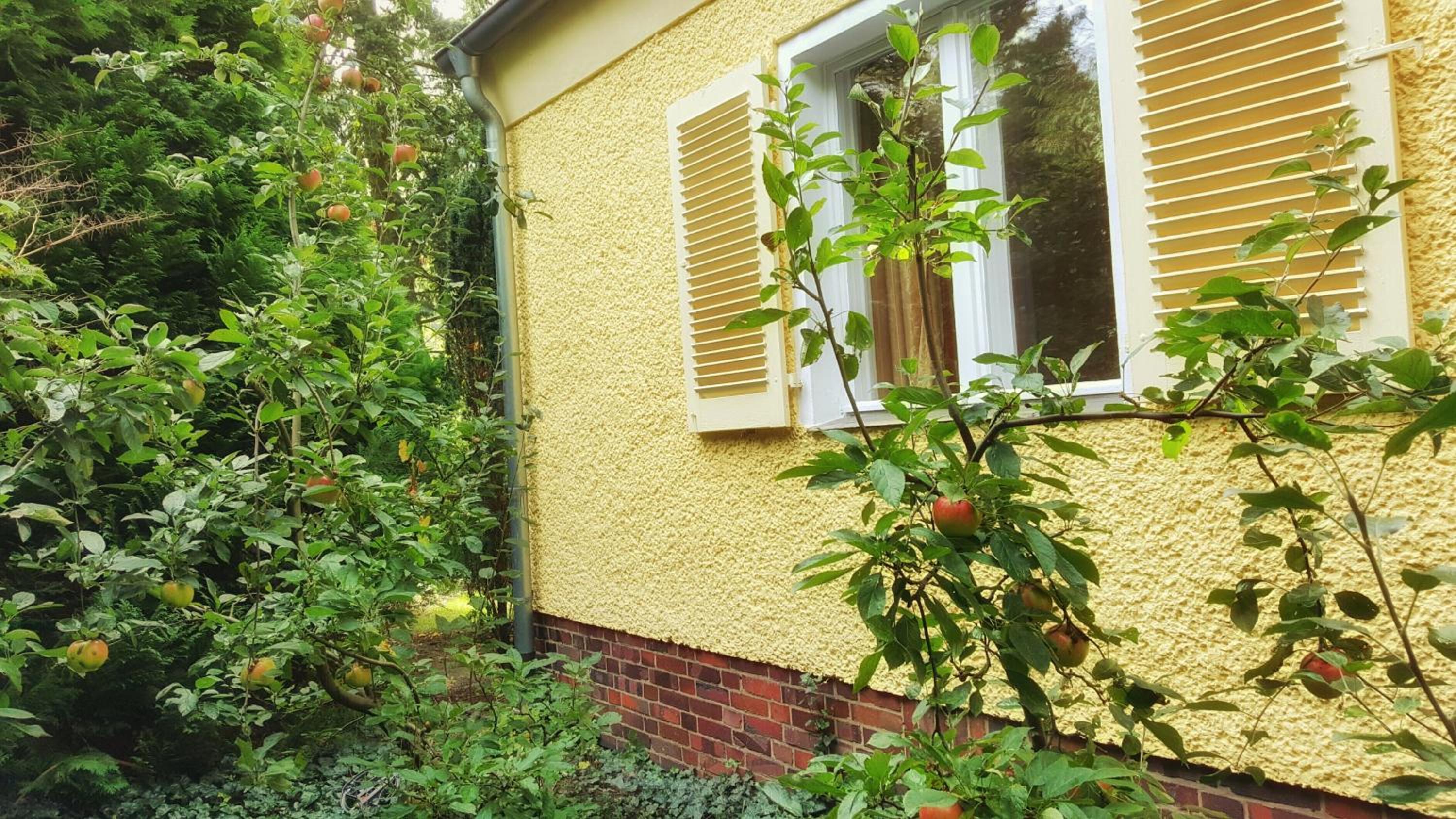 Ferienhaus Sanssouci - Property Image 4