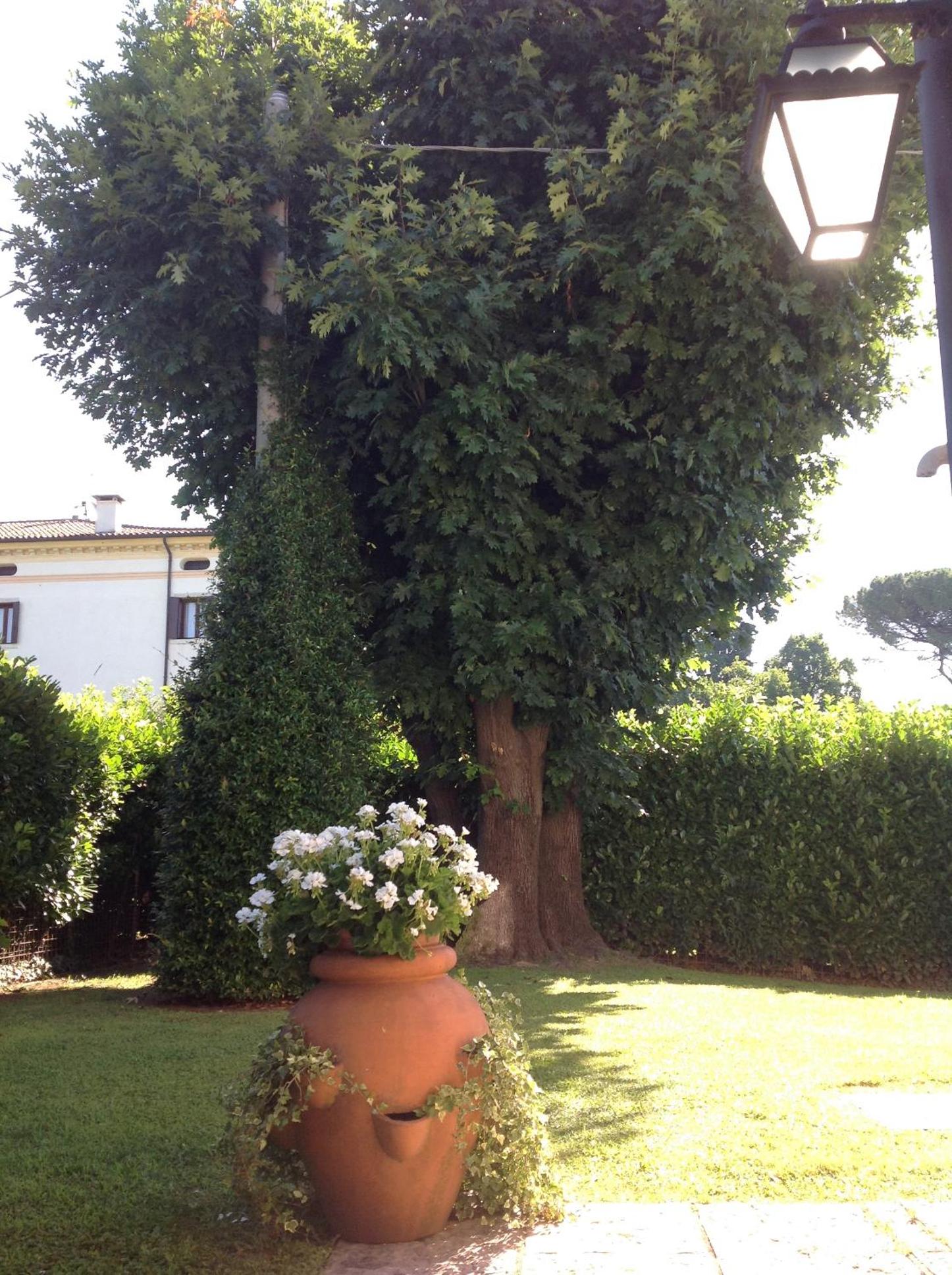 Le Tre Querce B&B, photo 41