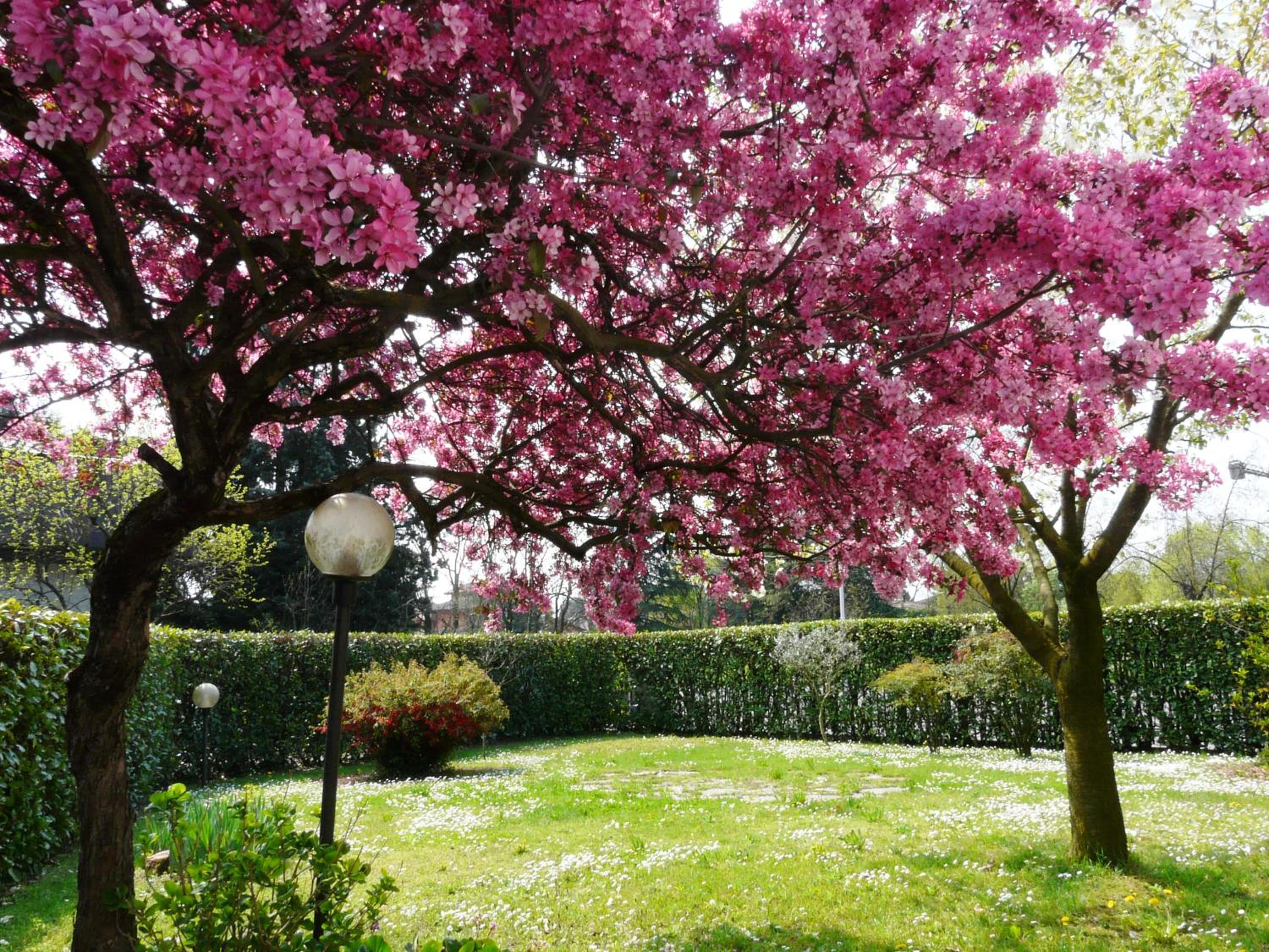 In Giardino B&B view 2