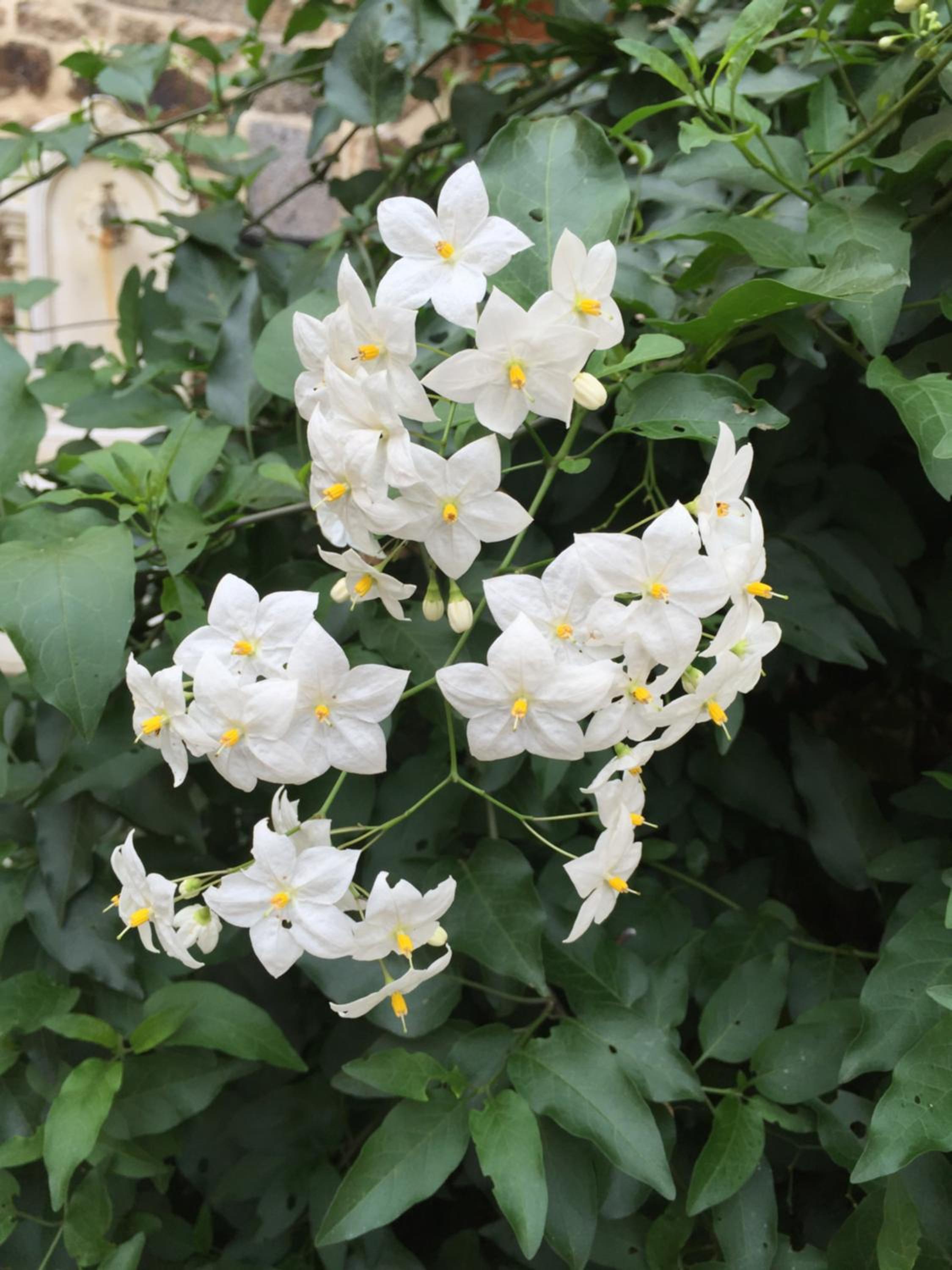 Photo 28