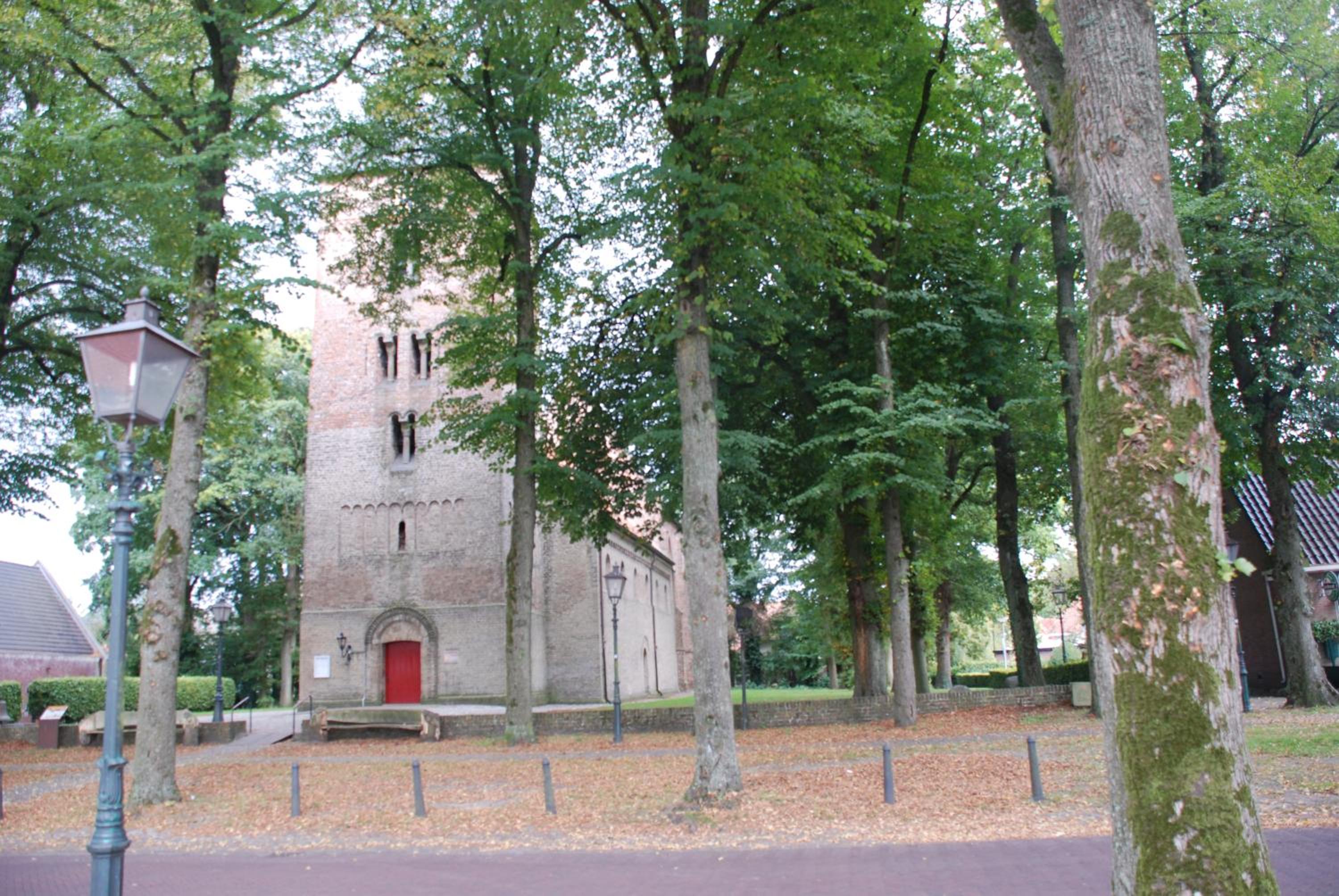 Photo 45