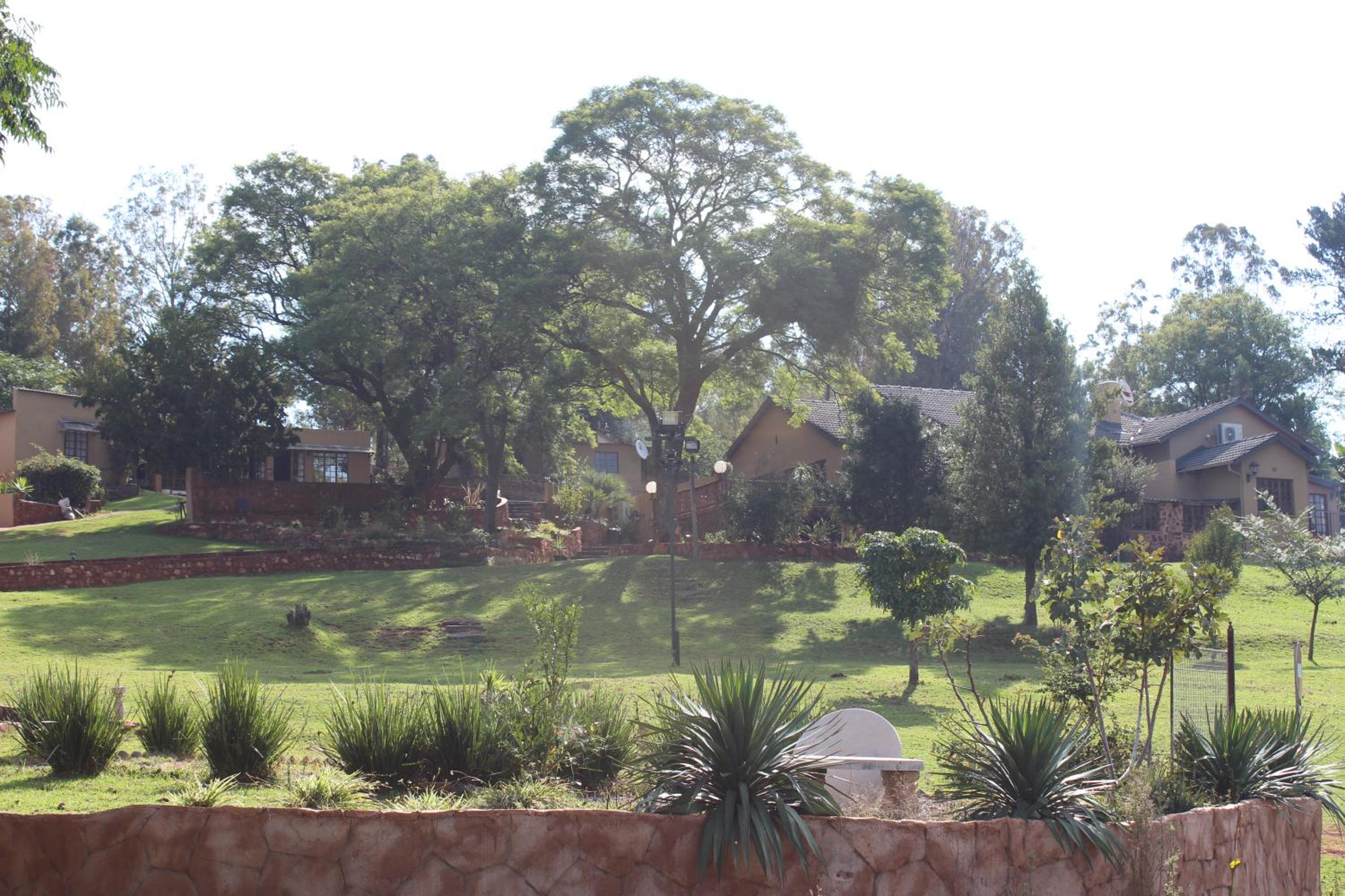 Photo 45