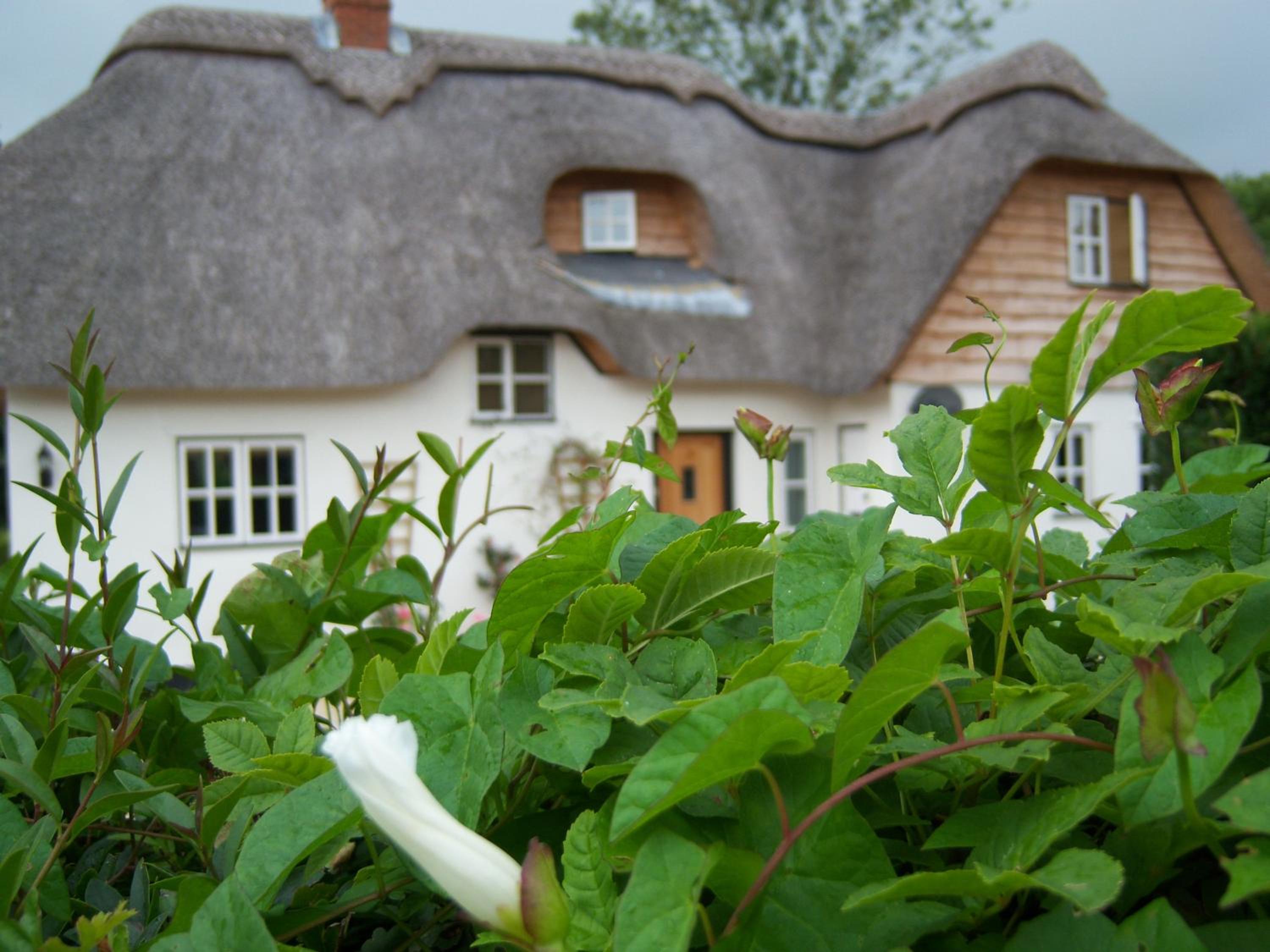 Weir Cottage, photo 3
