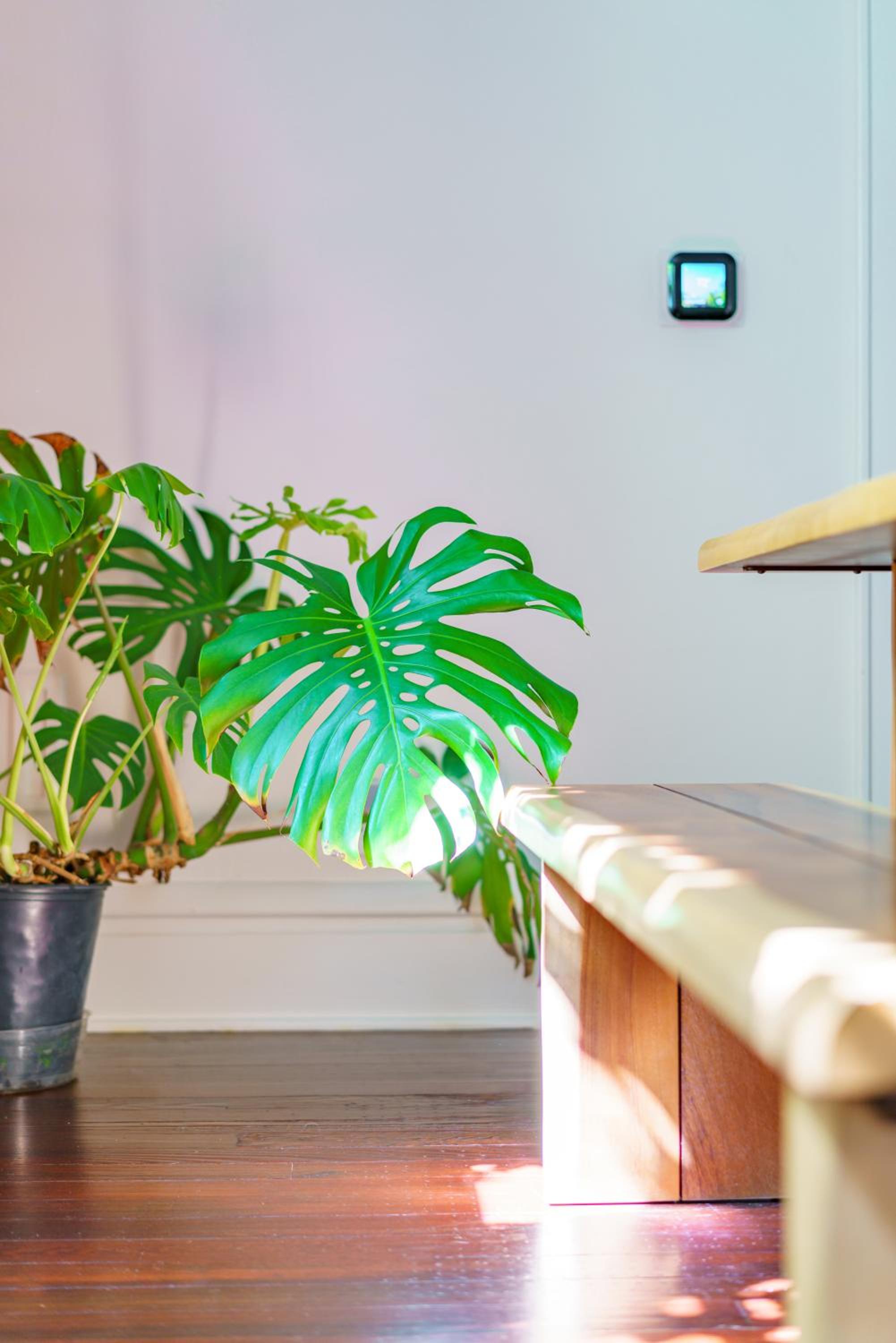 Jungle House Columbus Short North Downtown Free Parking - Steps to Convention Center & Nationwide Arena - 2BR Luxury Home - Sleeps 8 - Over 5,800 Five Star