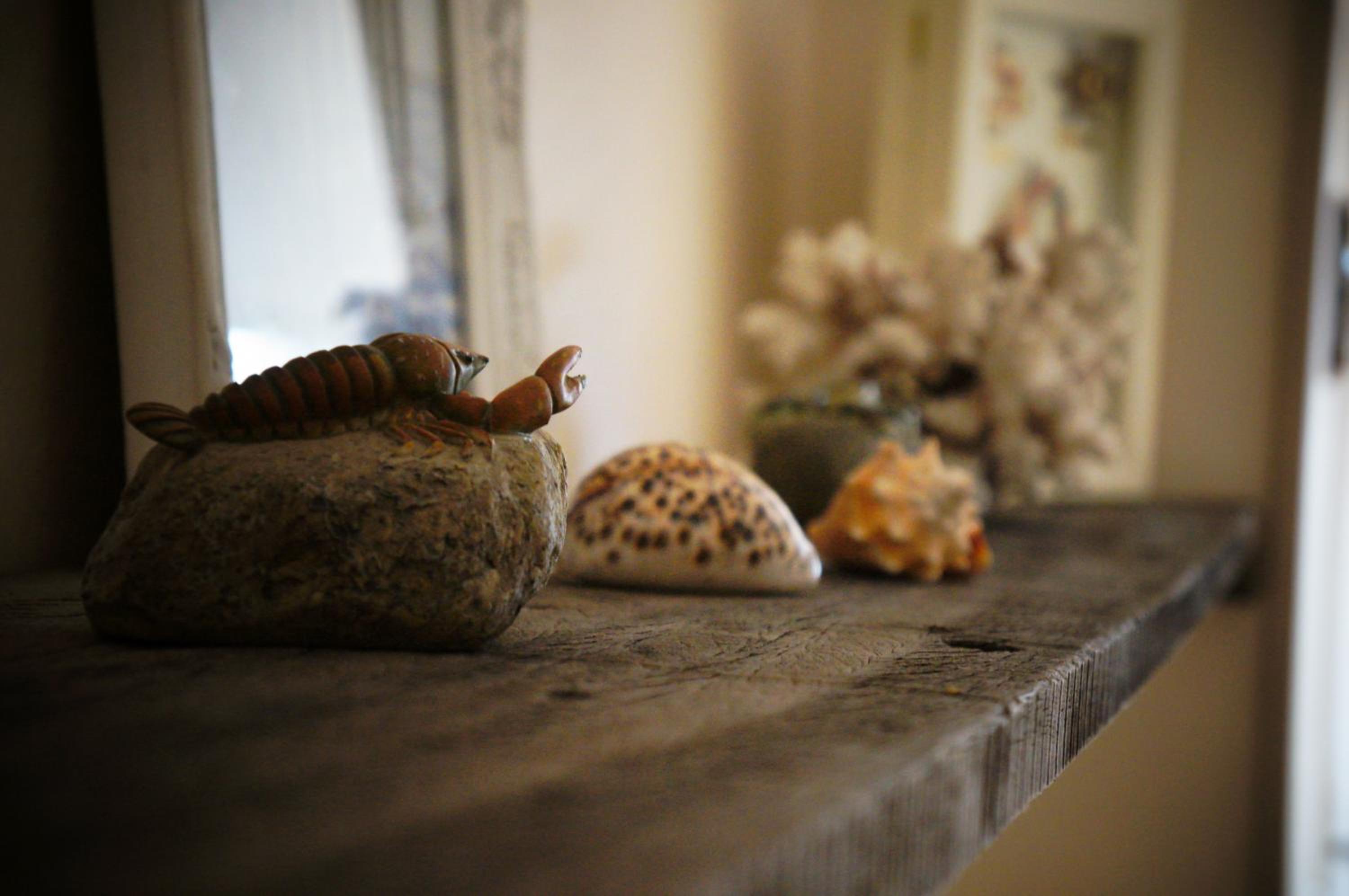 B&B Oesterhoeve