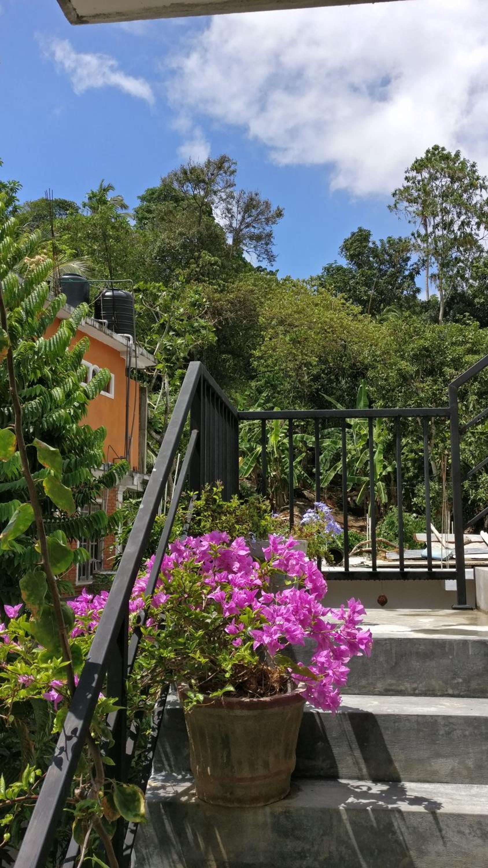 Aluthgedara Guest House