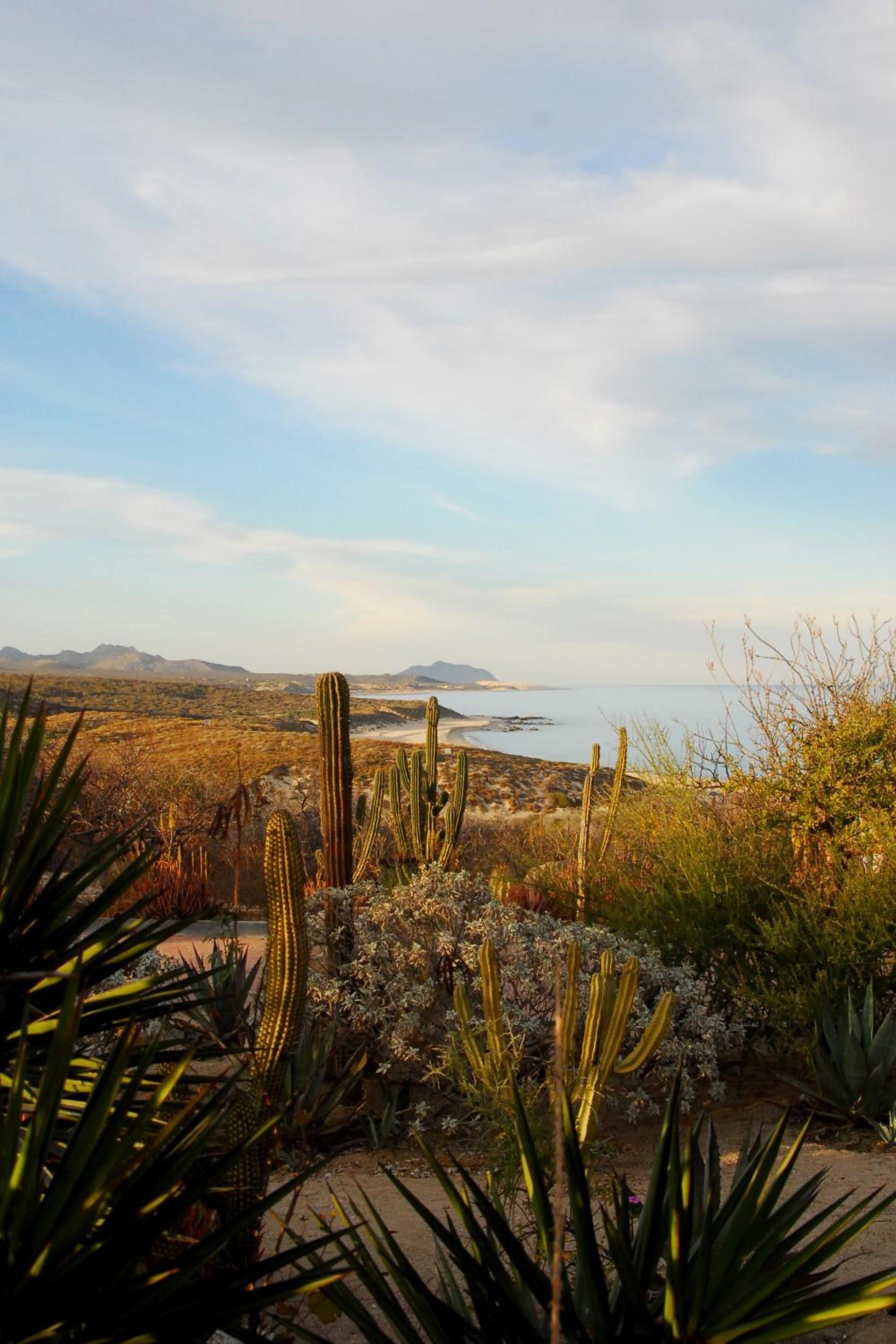 La Valise Los Cabos, Member of Small Luxury Hotels