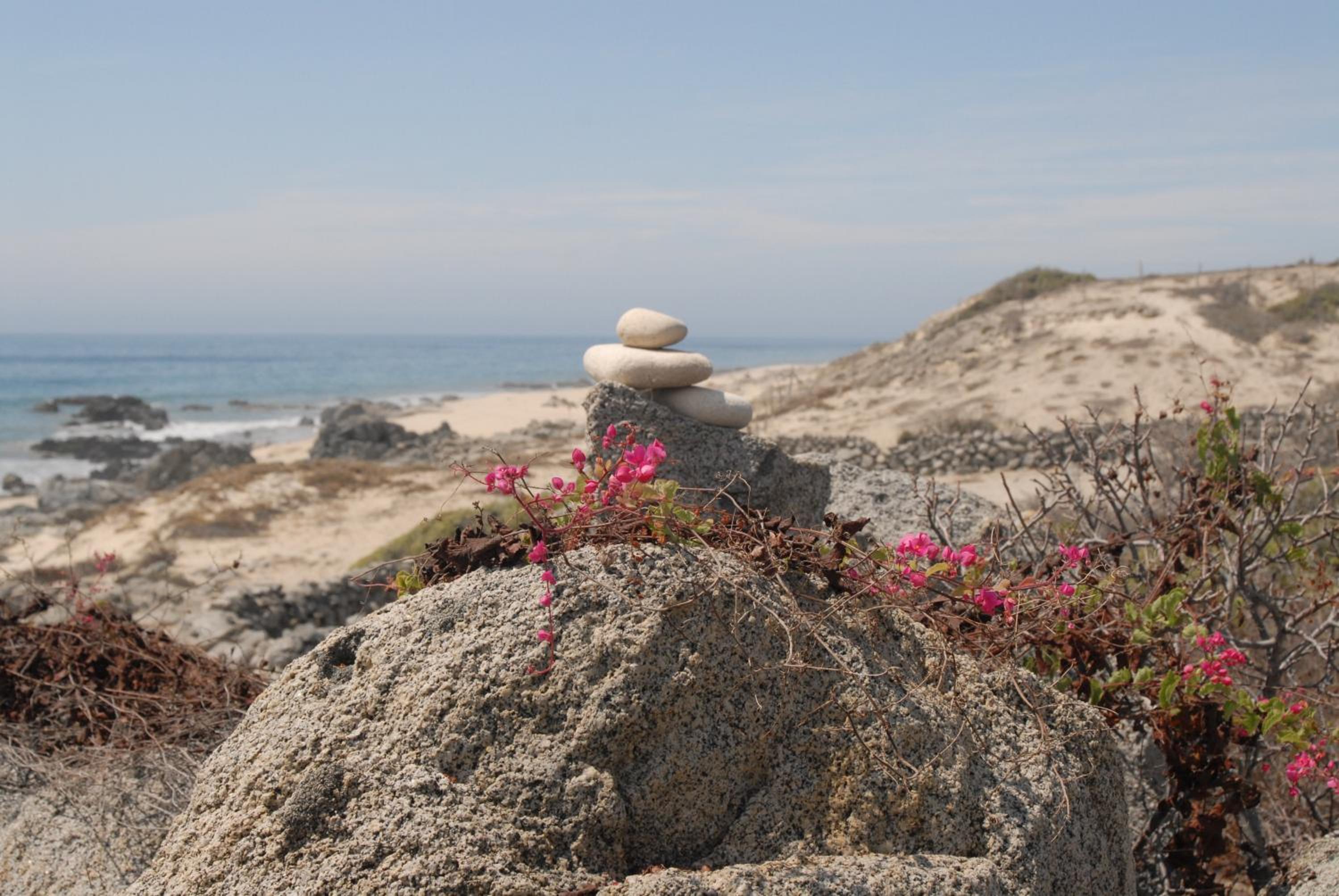 La Valise Los Cabos, Member of Small Luxury Hotels