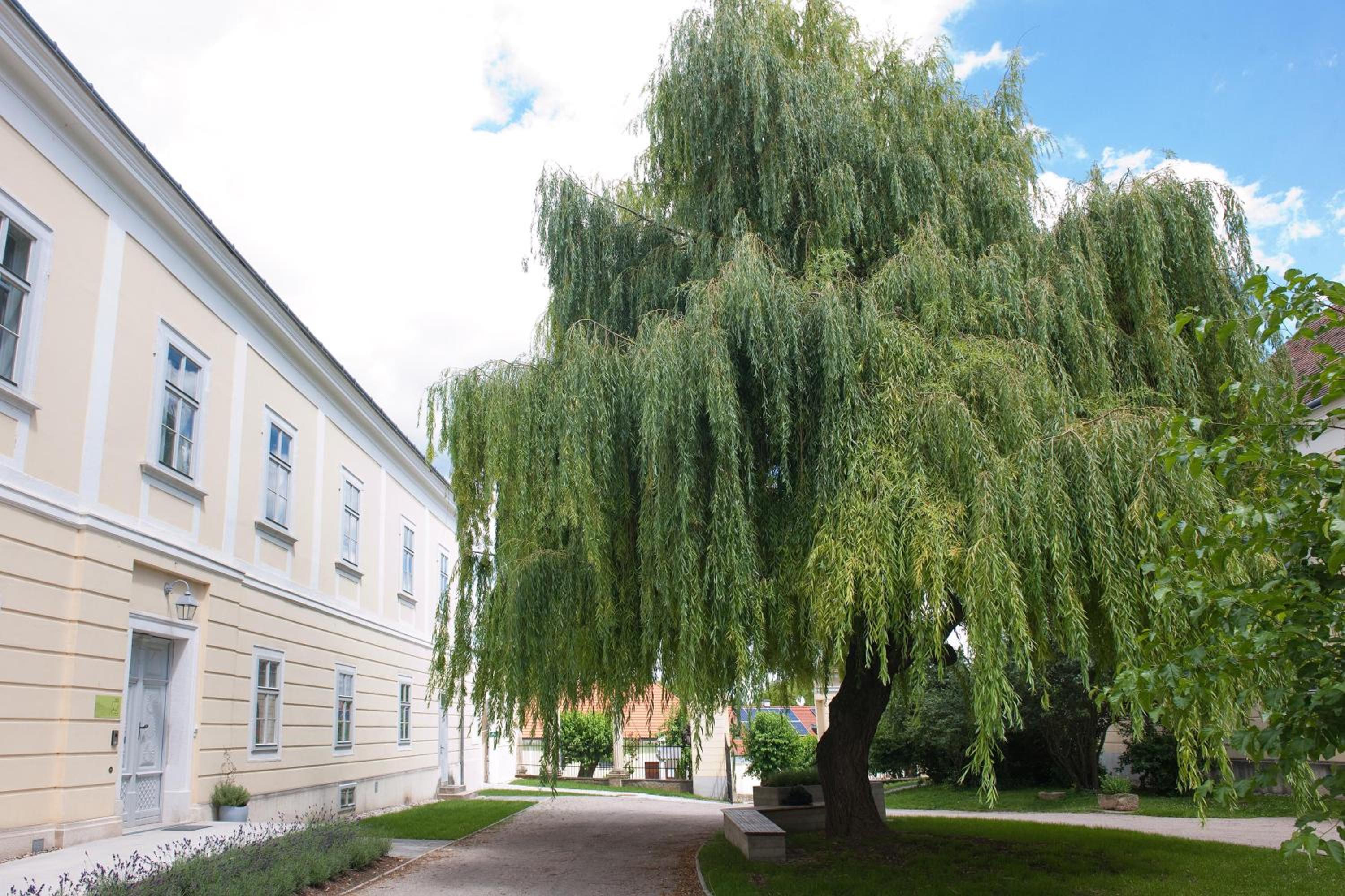 Photo 43