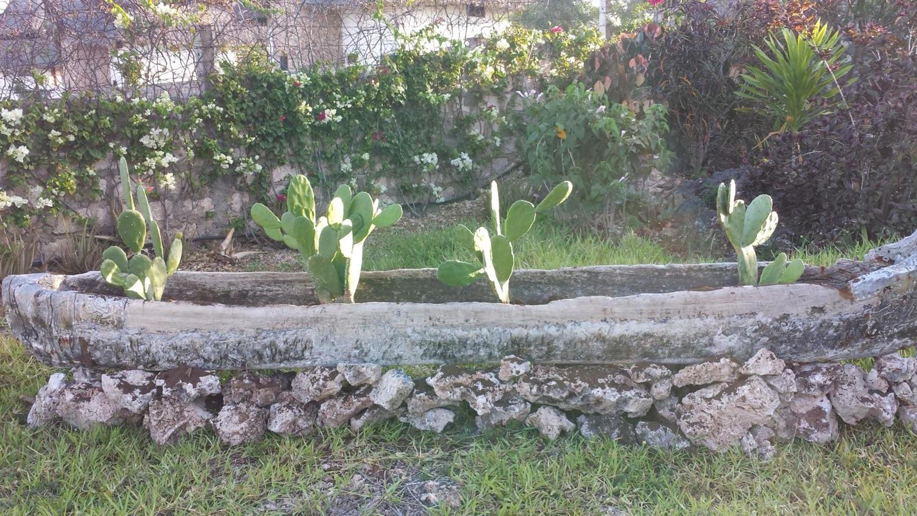 Photo 31