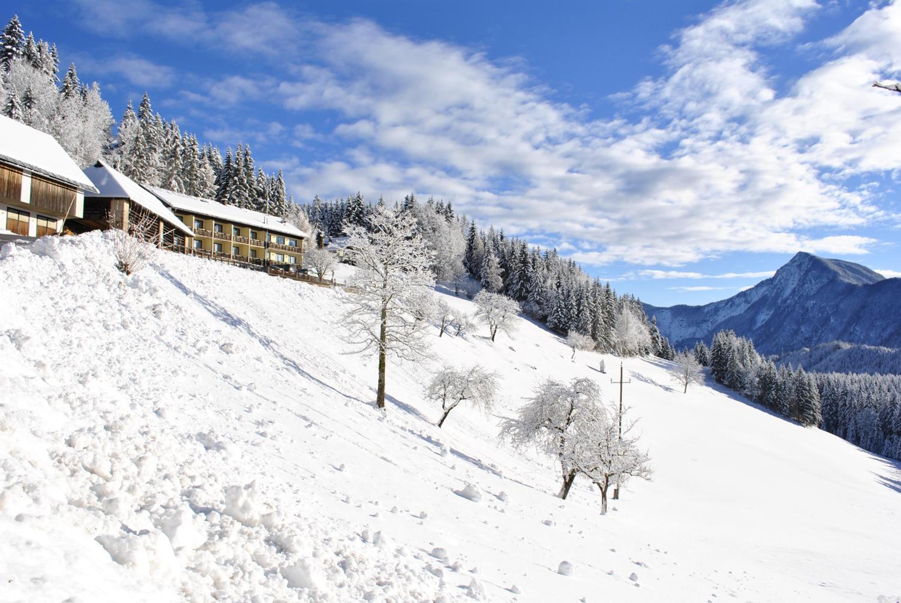 Bed&Breakfast Lausegger