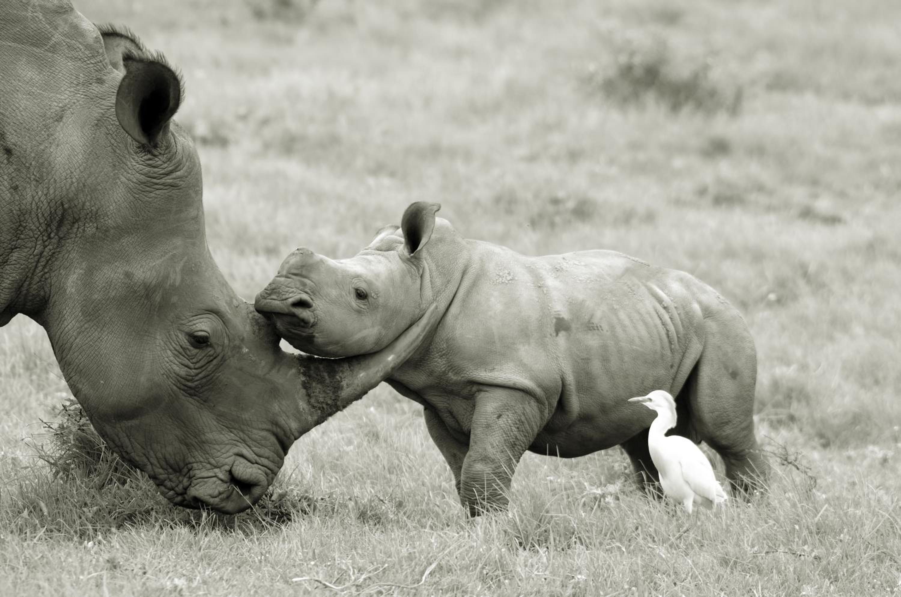 Kragga Kamma Game Park
