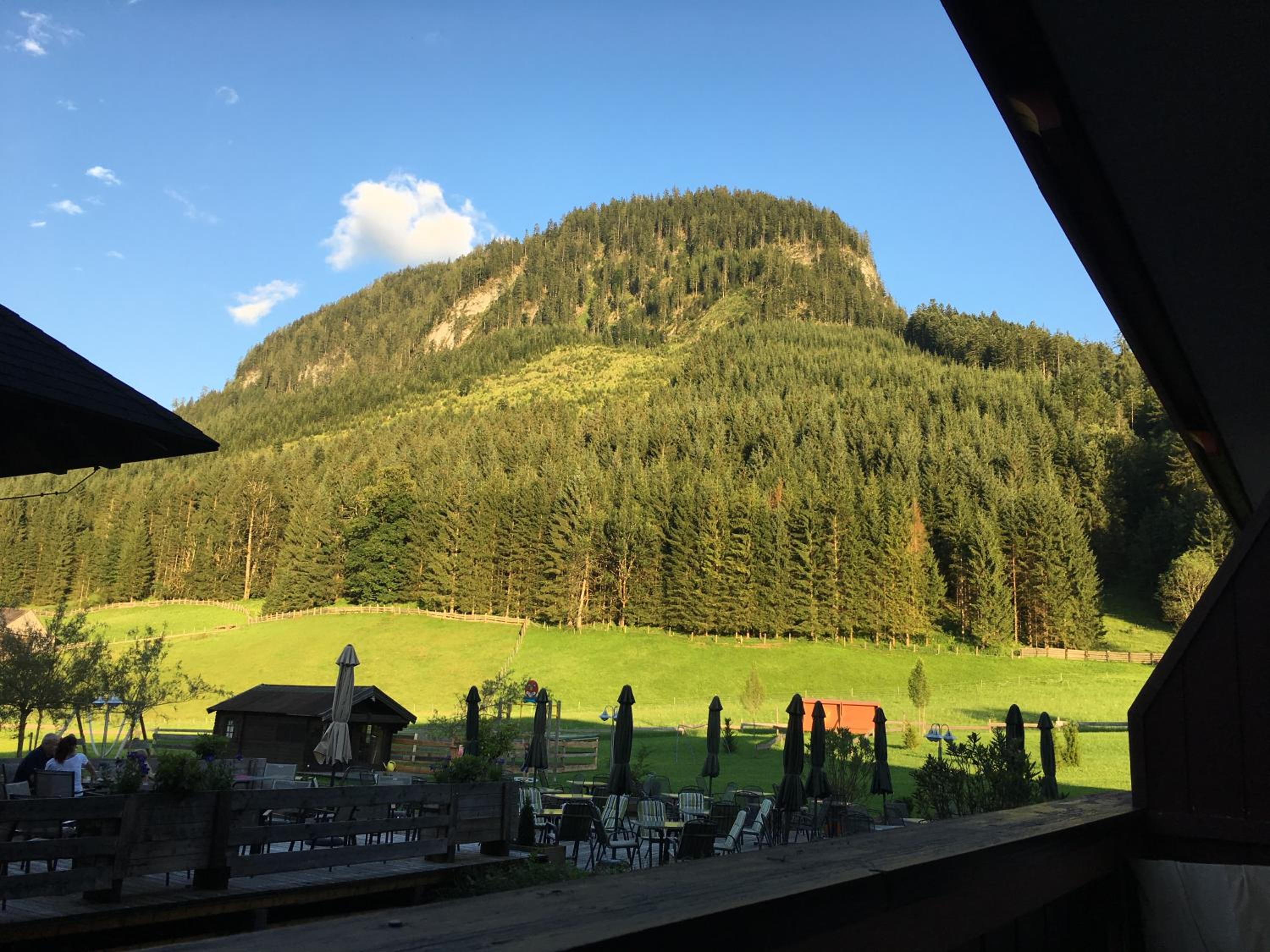 Photo 20