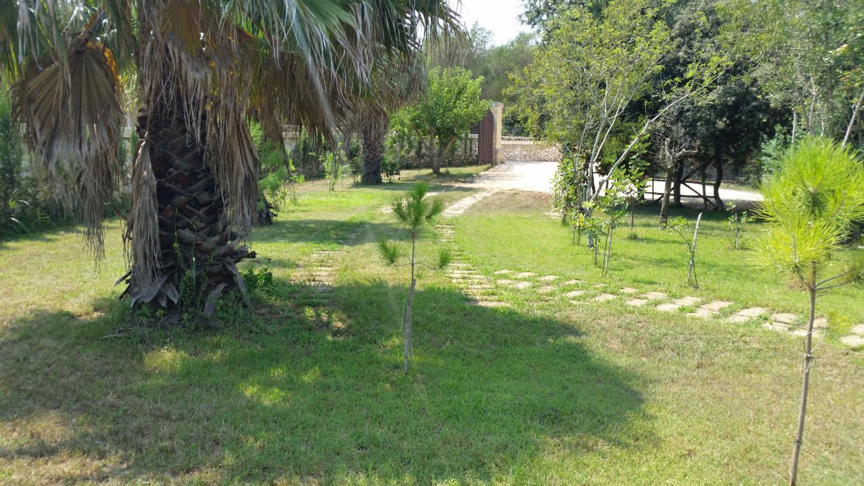 Photo 28