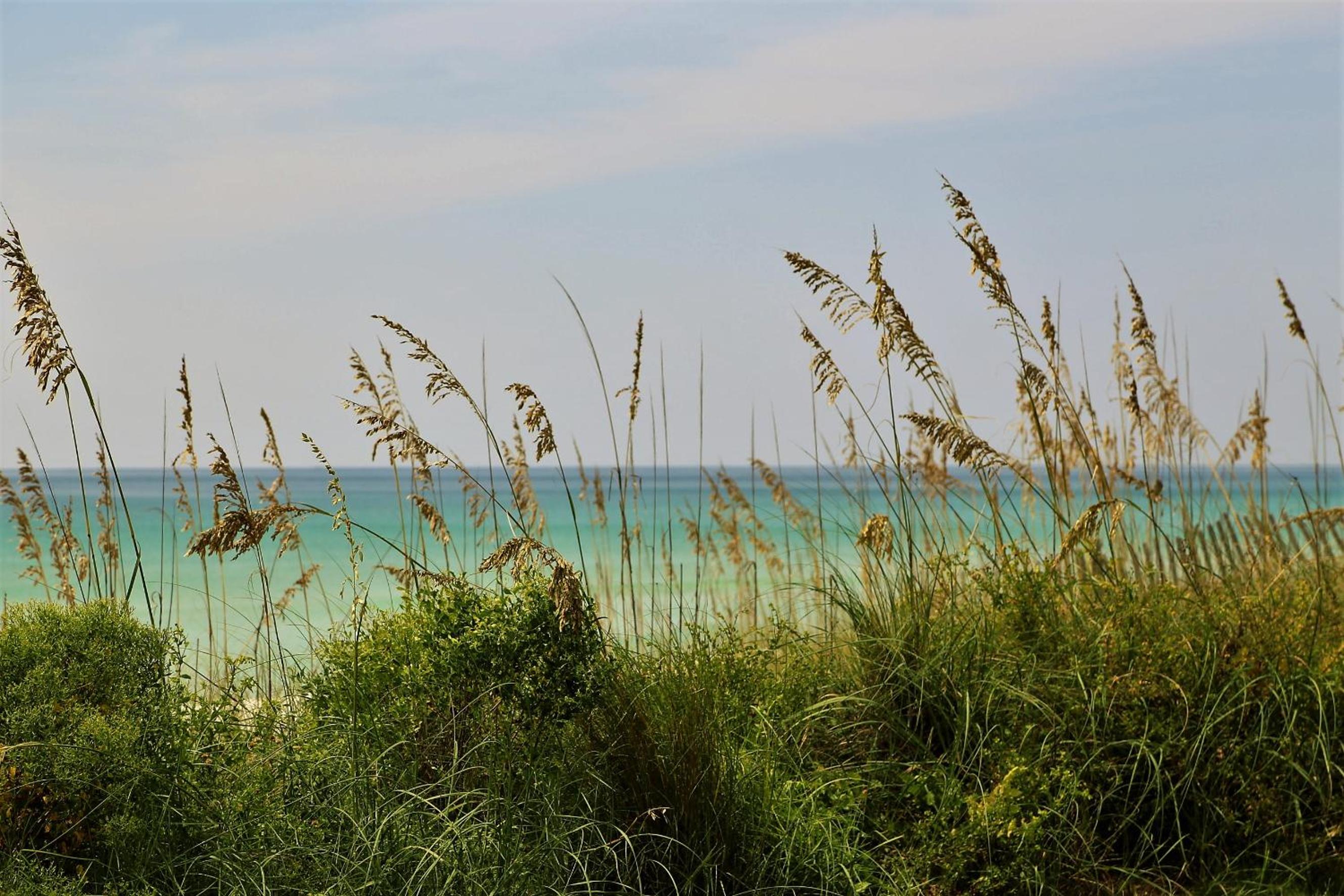 Henderson Beach Resort