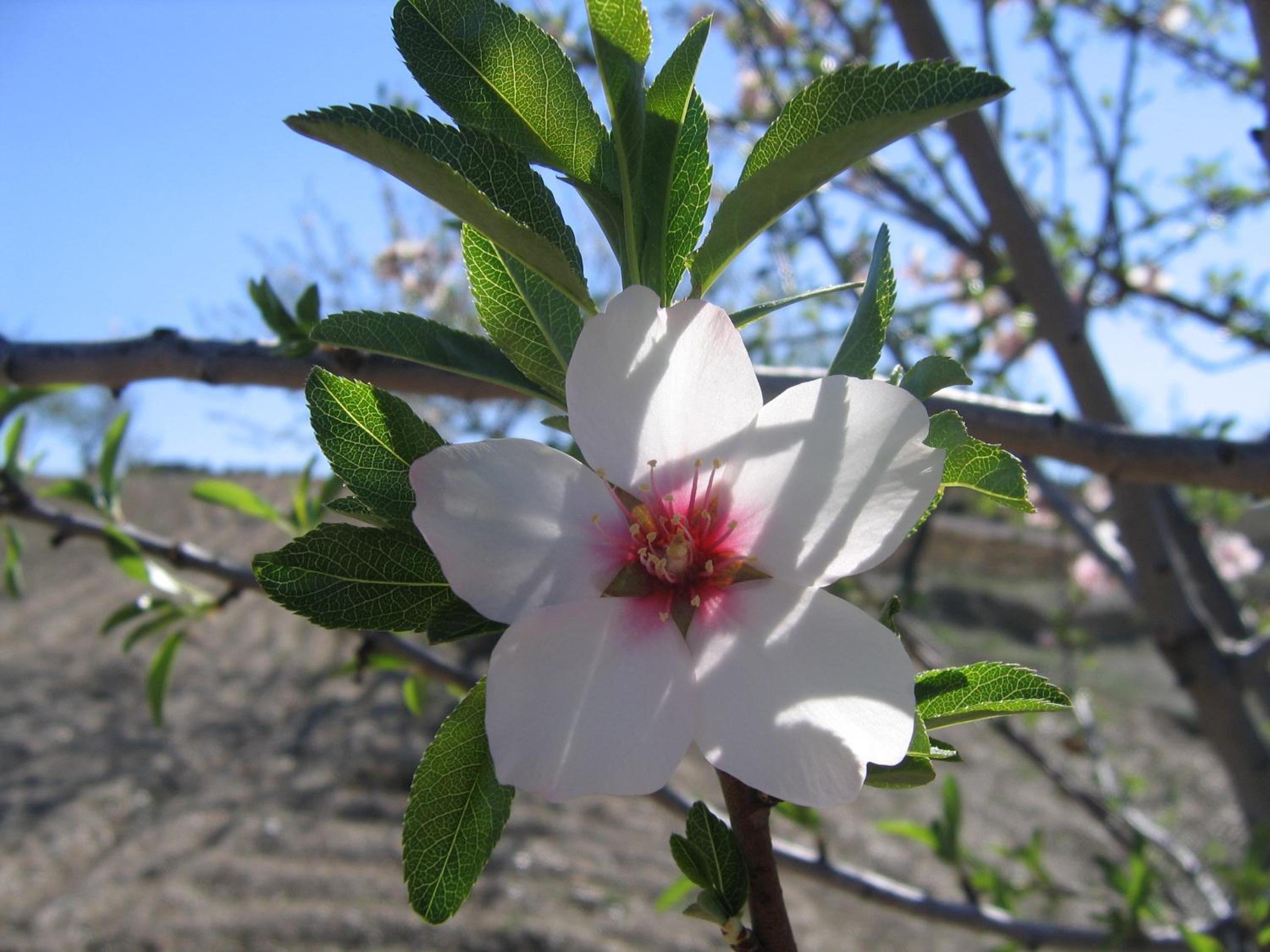 Photo 27