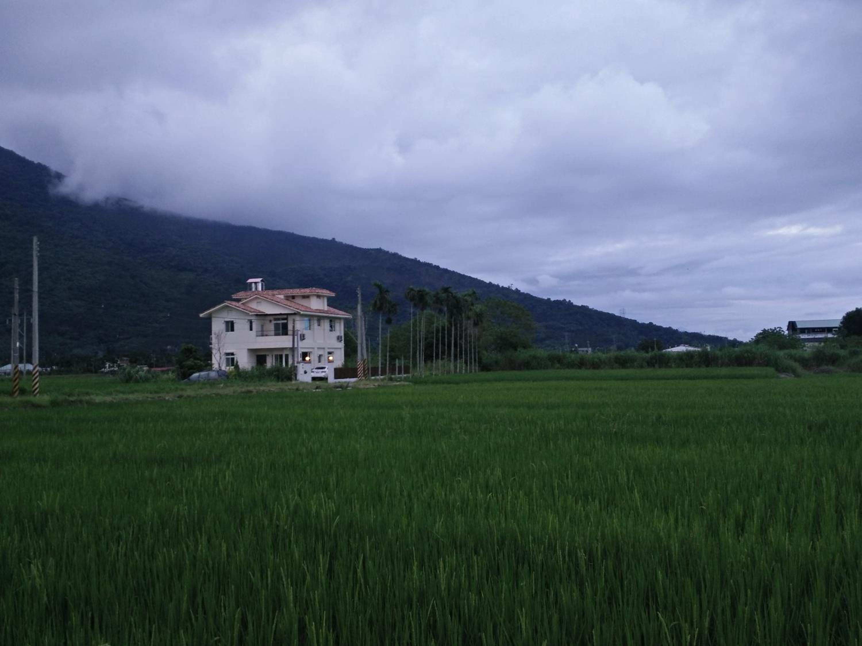 Photo 43